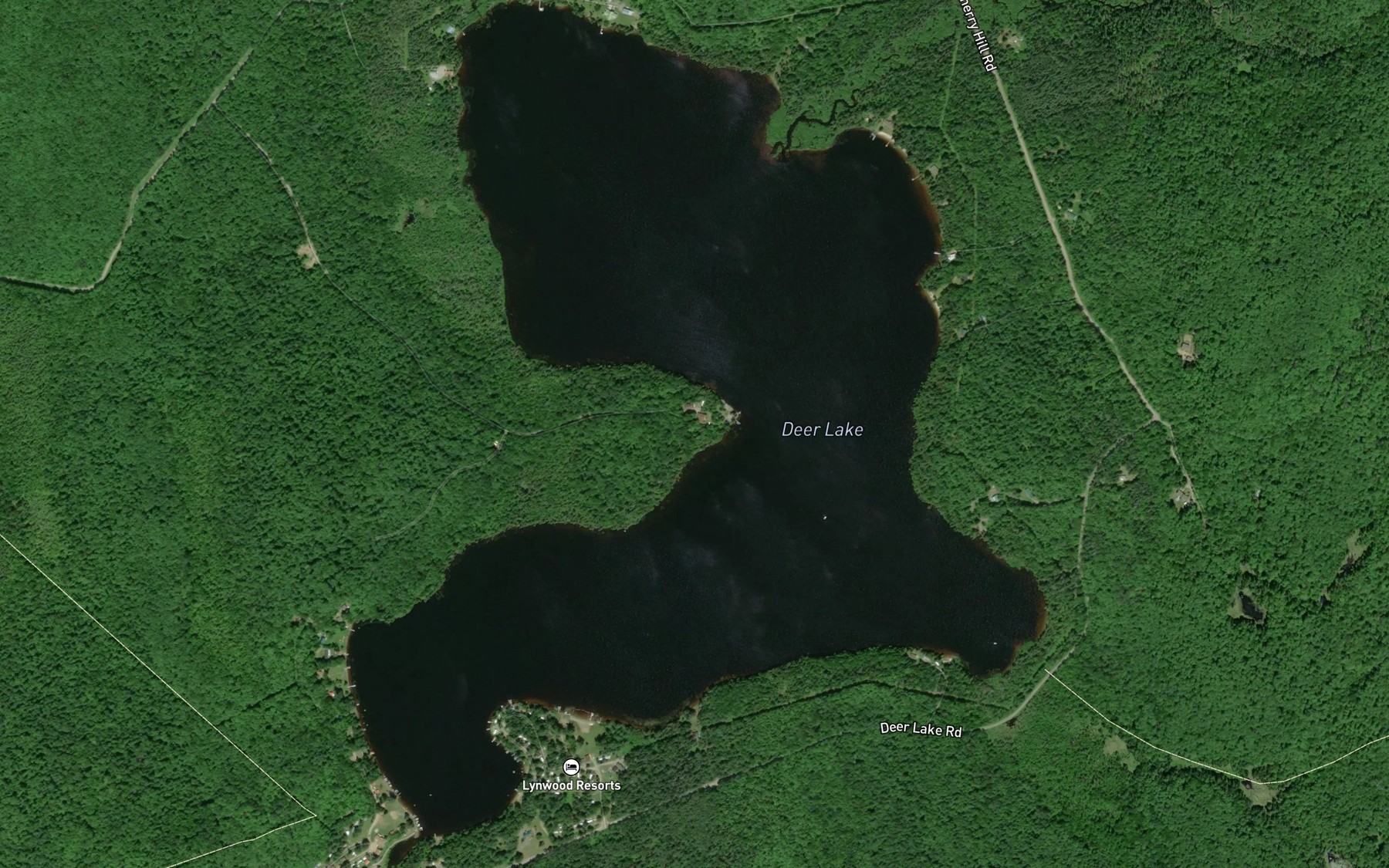 Satellite map of the Deer Lake