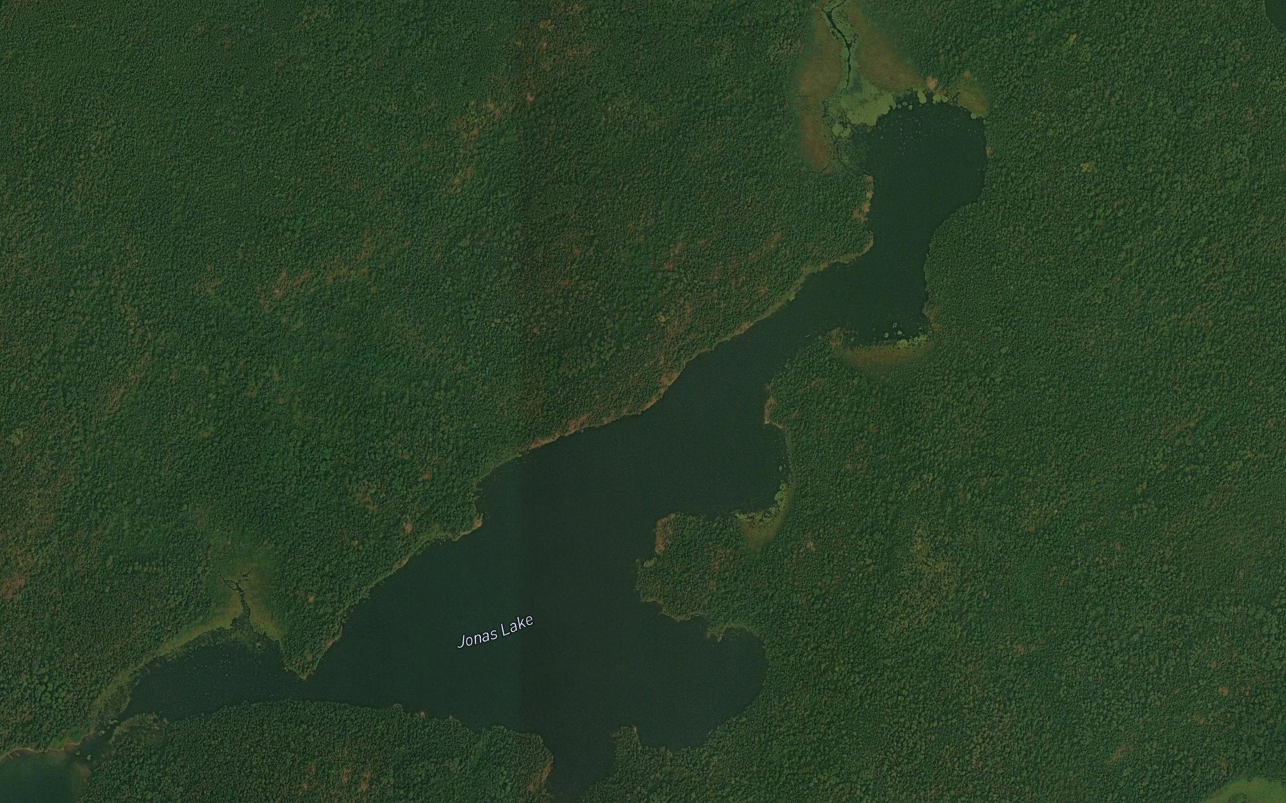 Satellite map of the Jonas (Bell) Lake