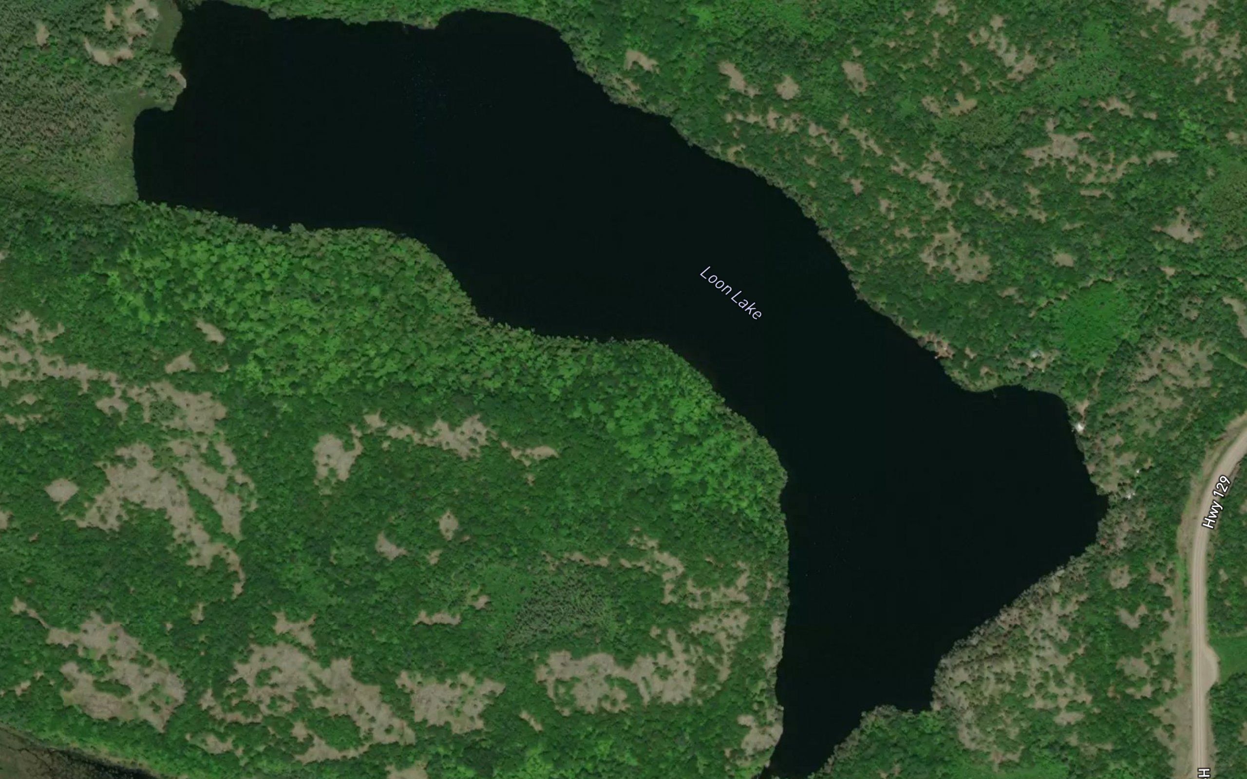 Loon Lake