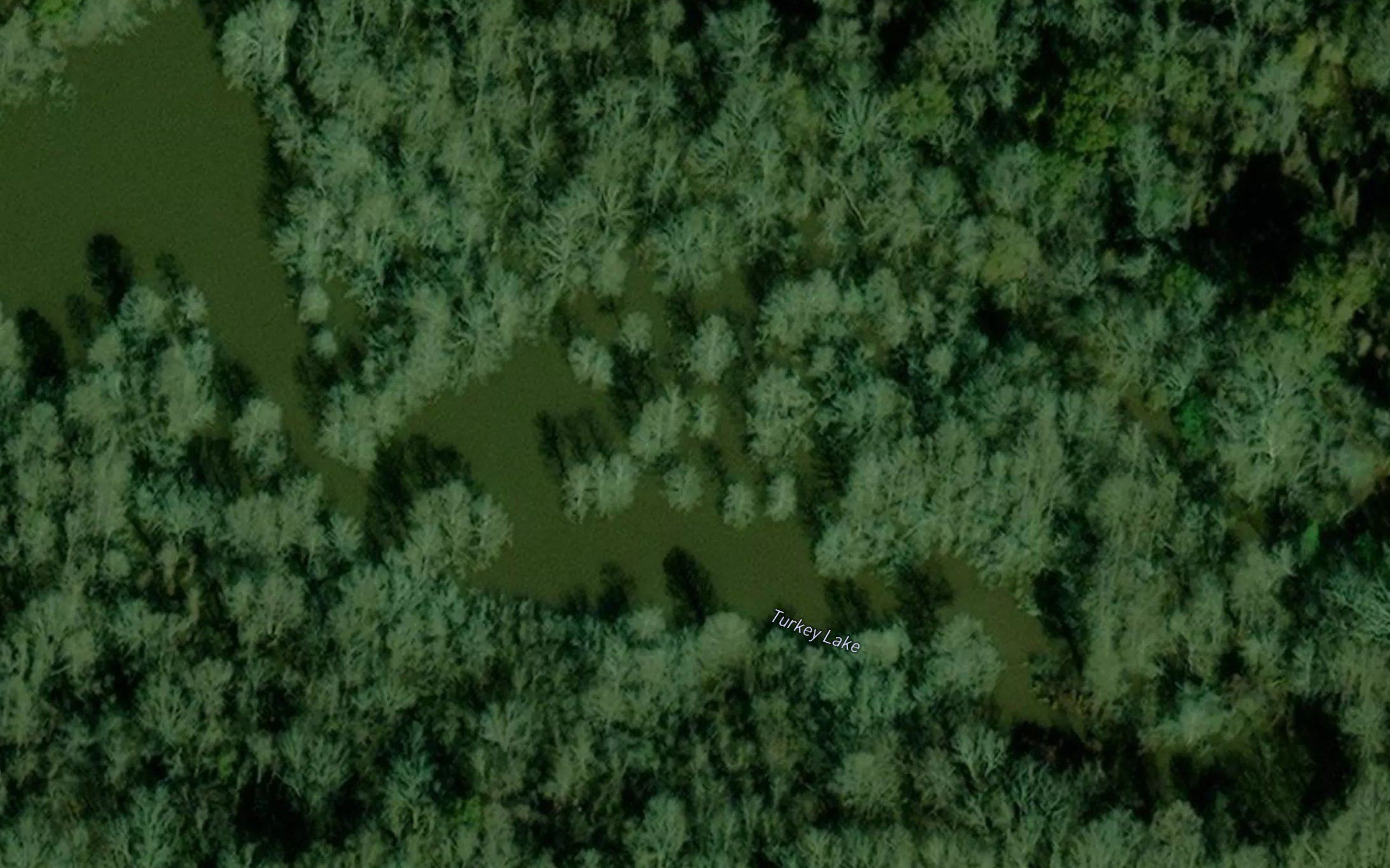 Turkey Lake