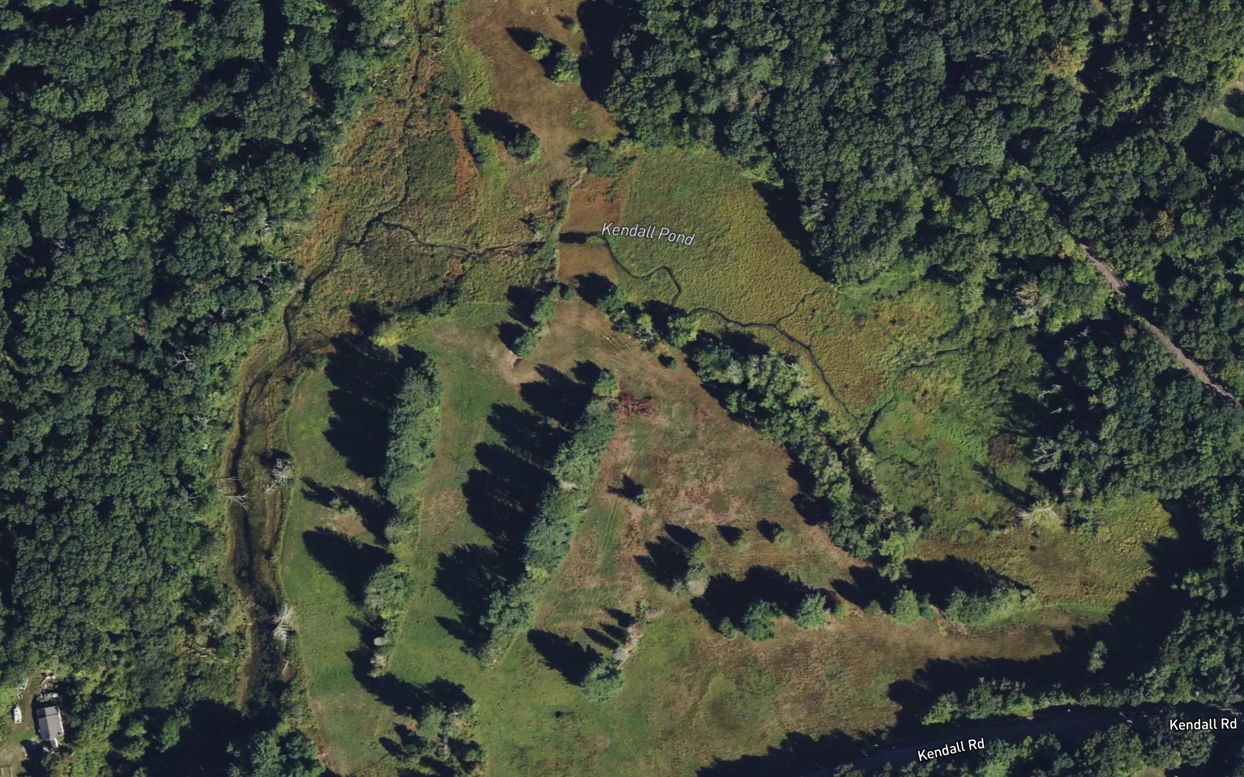 Kendall Pond