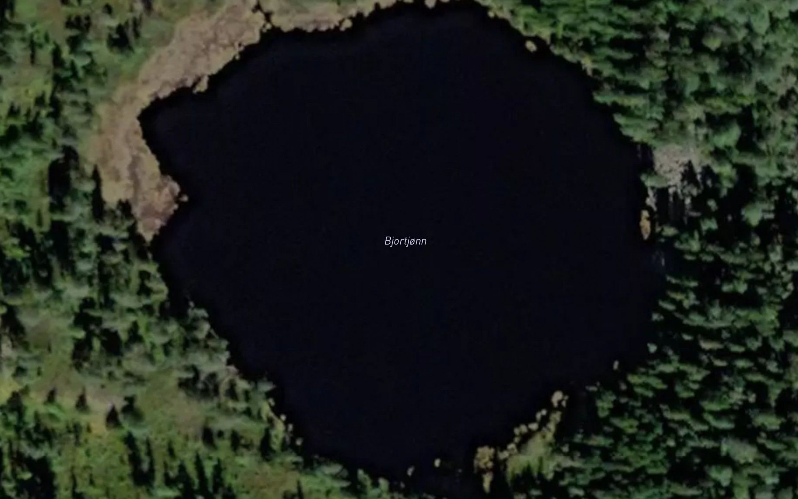 Bjortjonn