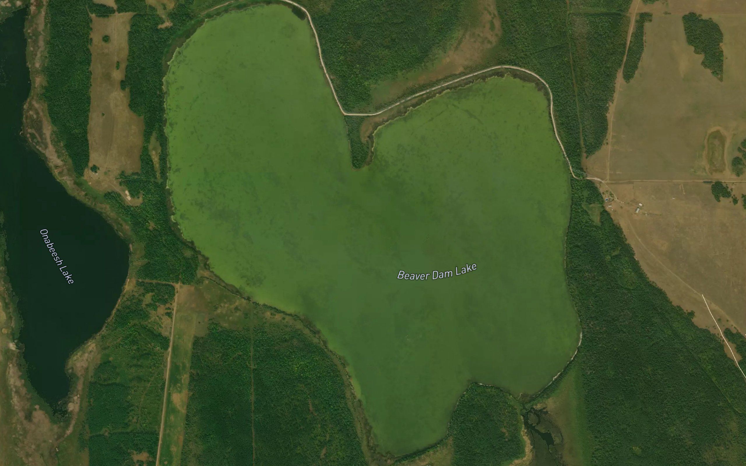 Beaver Dam Lake