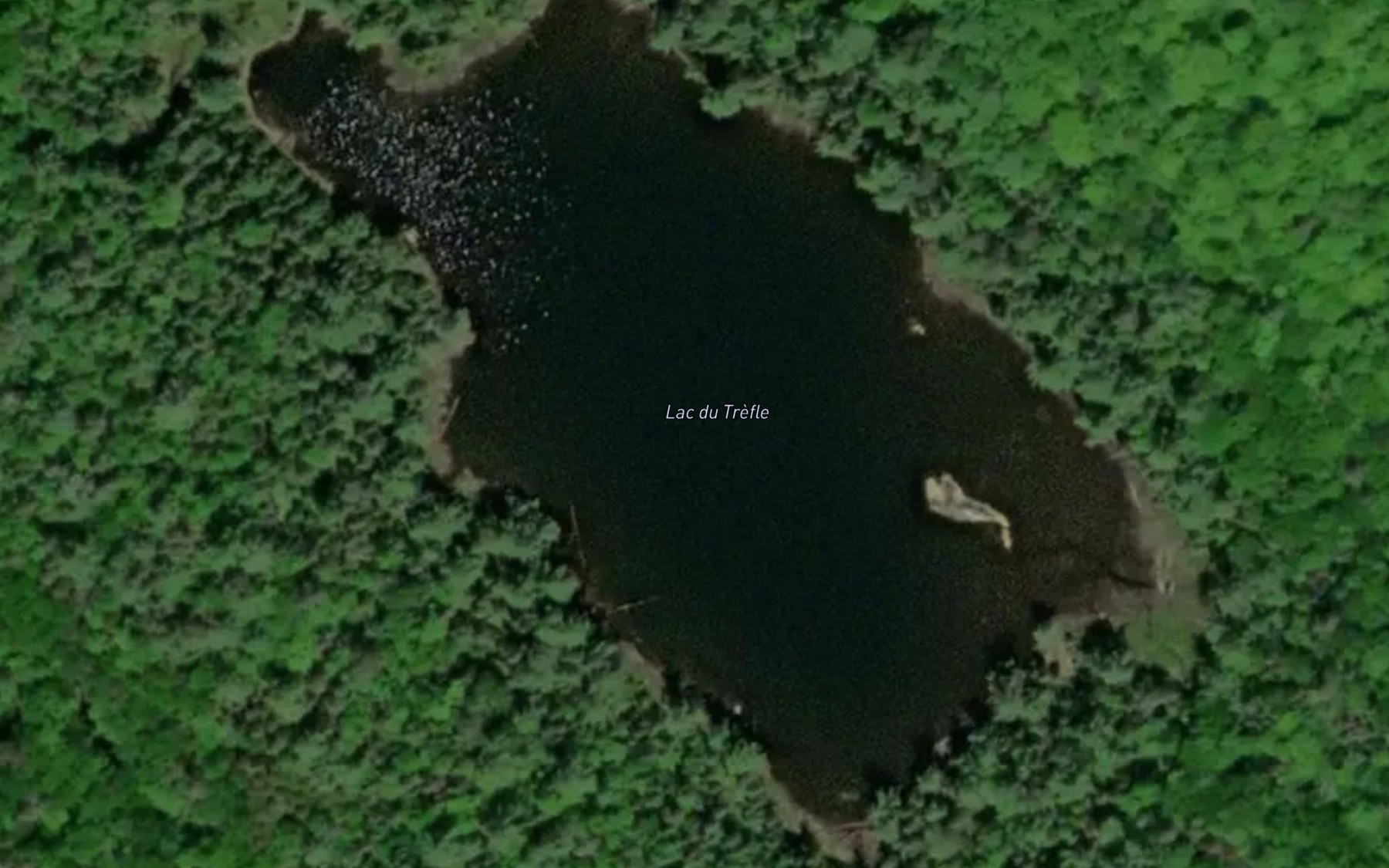 Satellite map of the Lac du Trefle