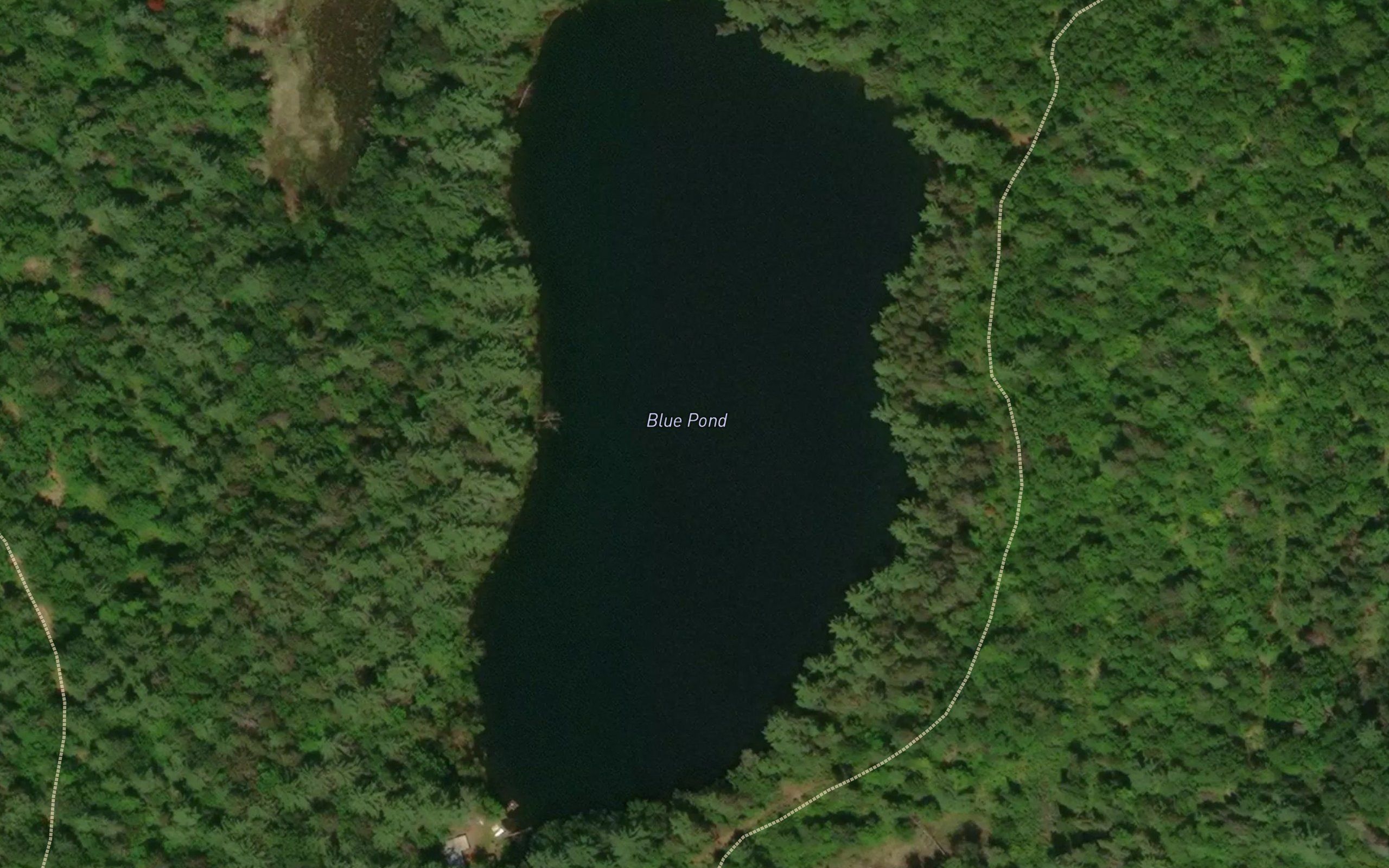 Blue Pond