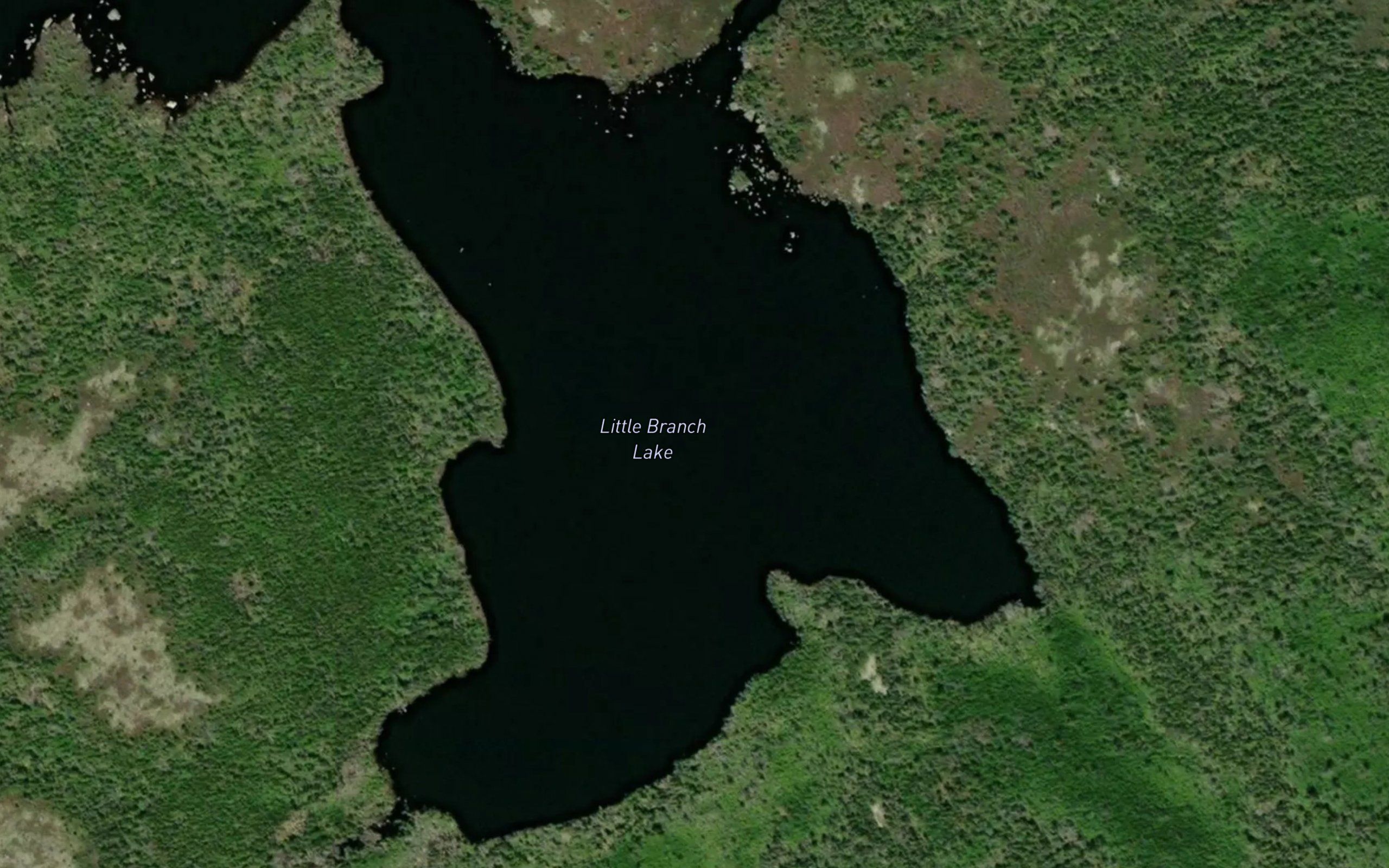 Little Branch Lake