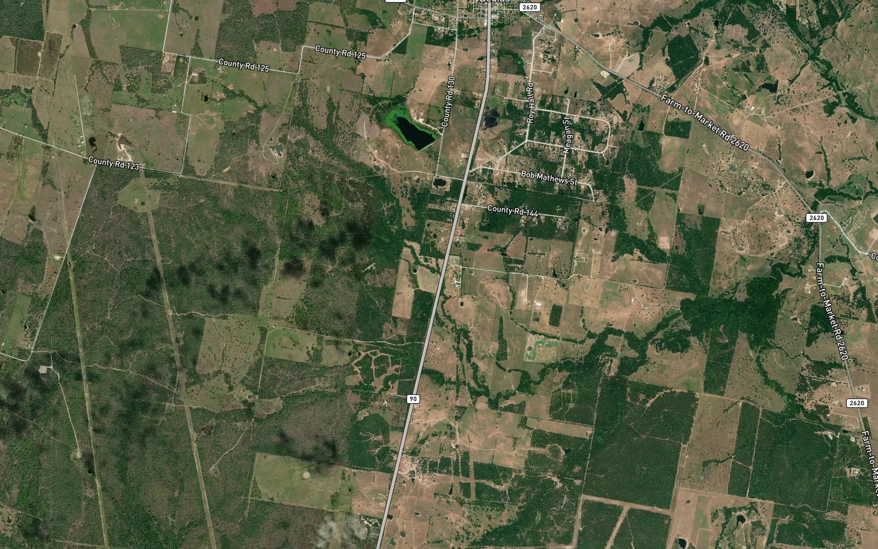 Satellite map of the Rocky Branch