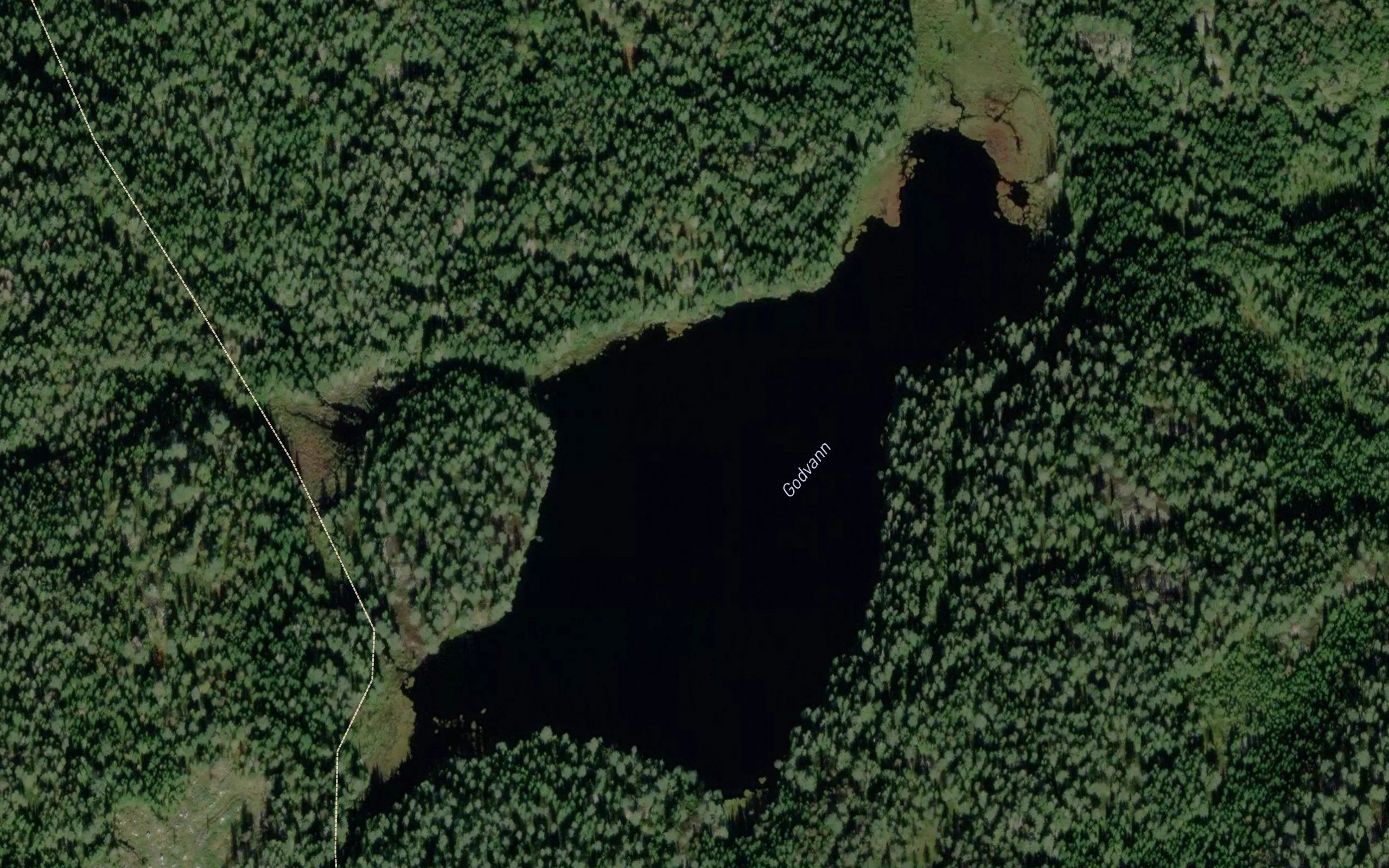 Godvann