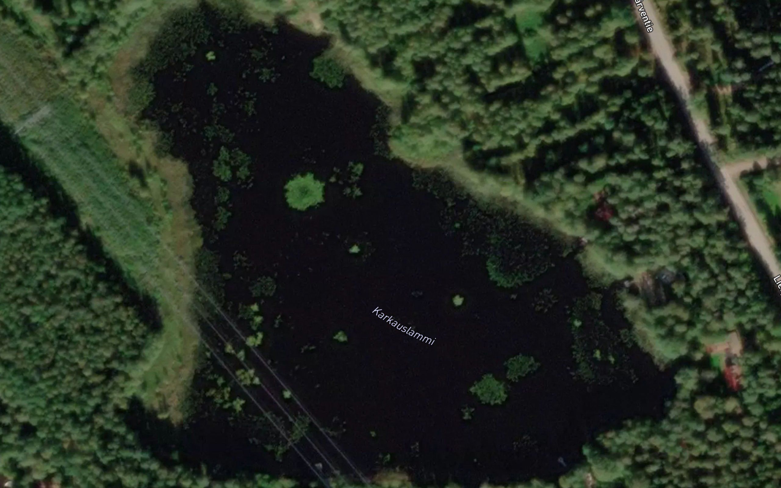 Karkauslammi