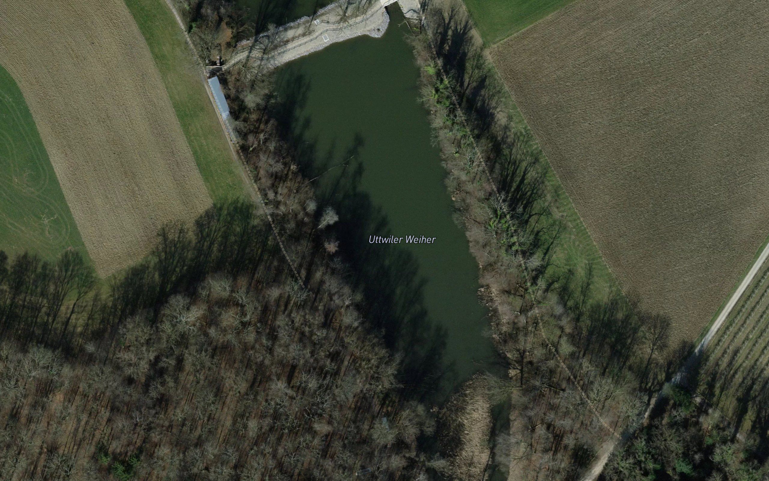 Uttwiler Weiher
