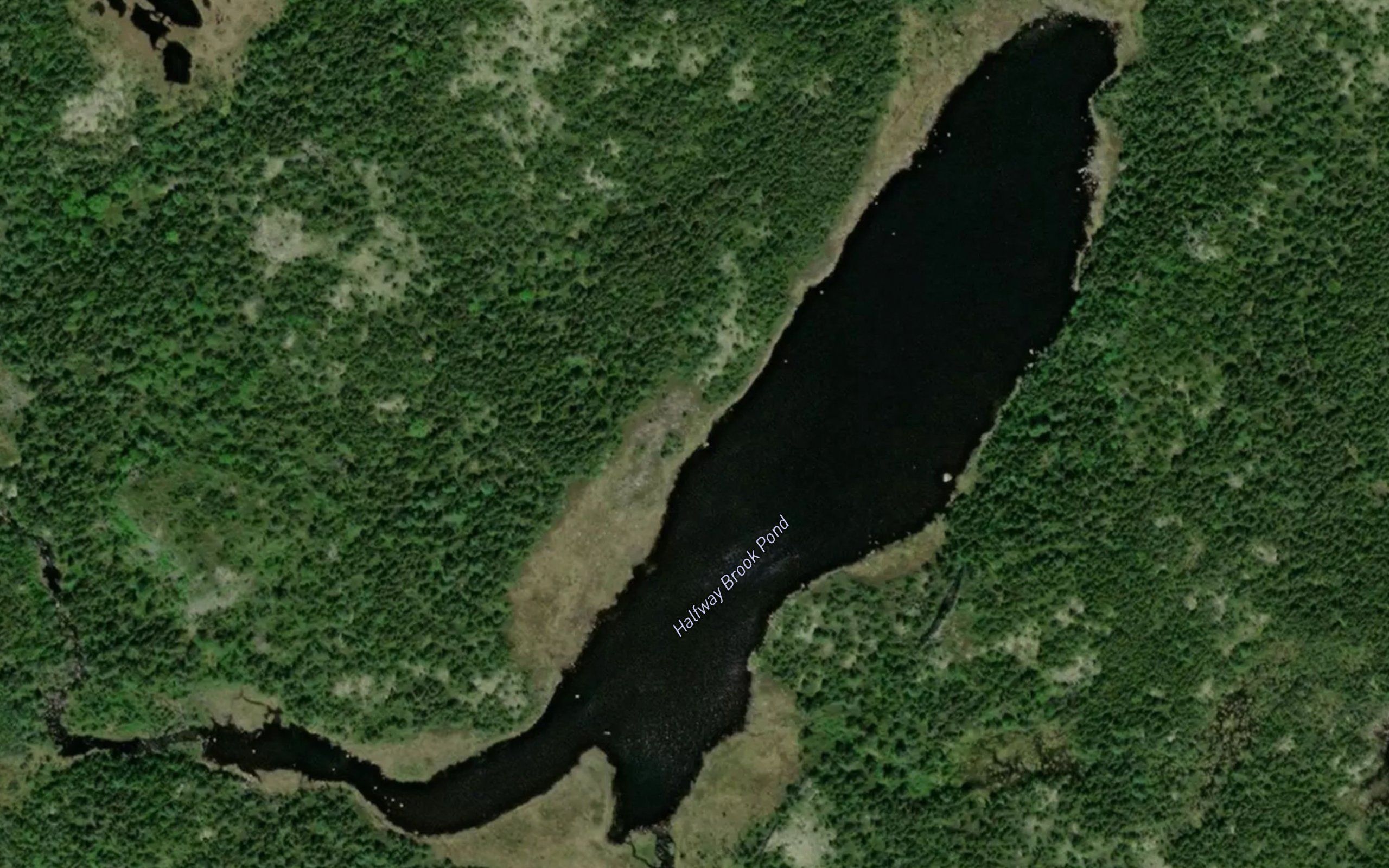Halfway Brook Pond