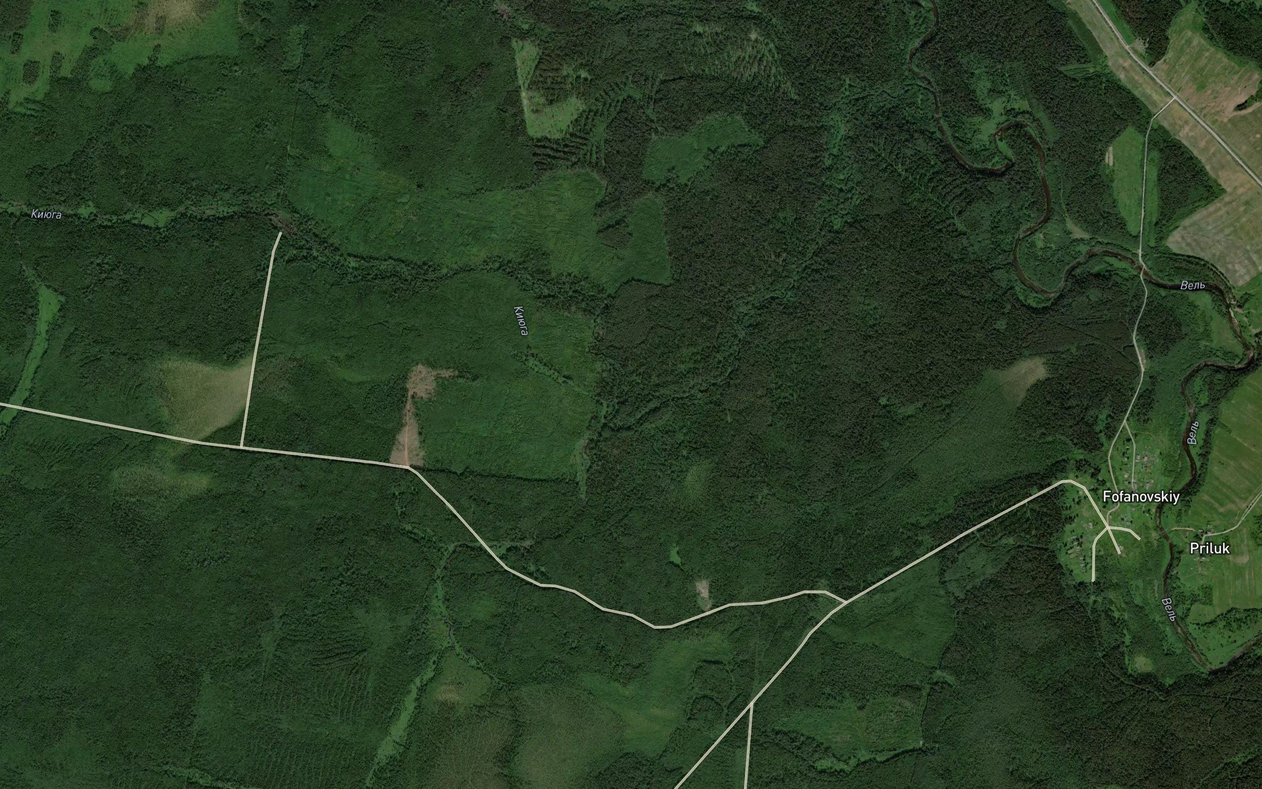 Priponnaya