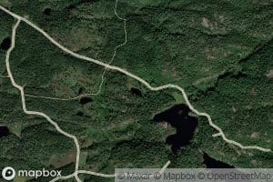 Lintjonn