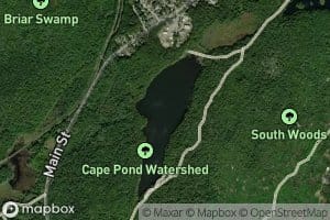 Cape Pond