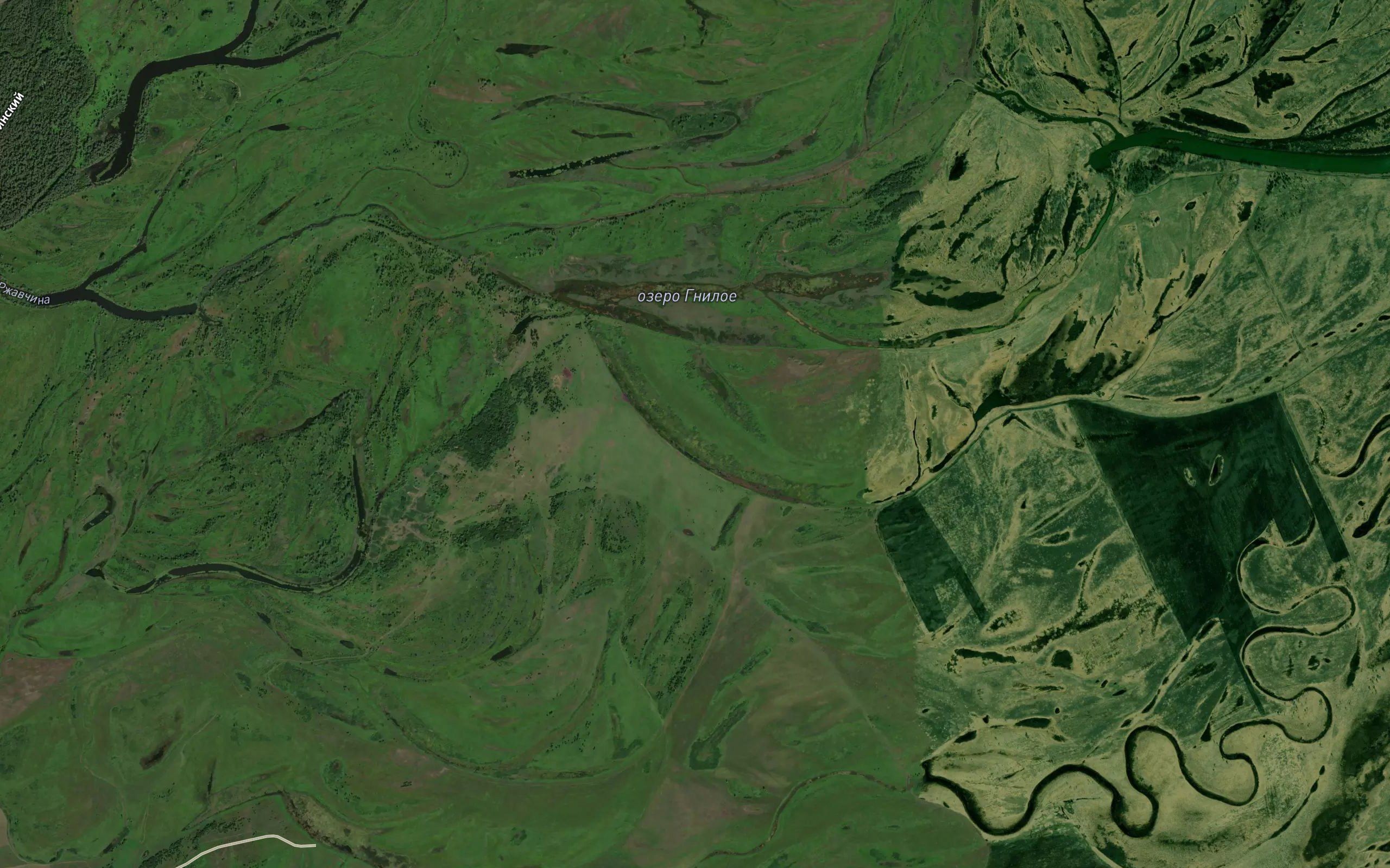 Ozero Gayevo