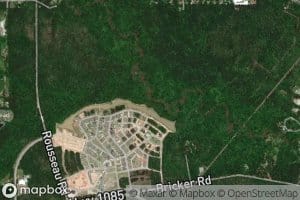 Soap and Tallow Branch