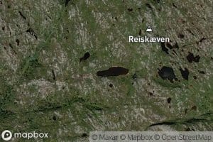 Reiskvaevtjonni