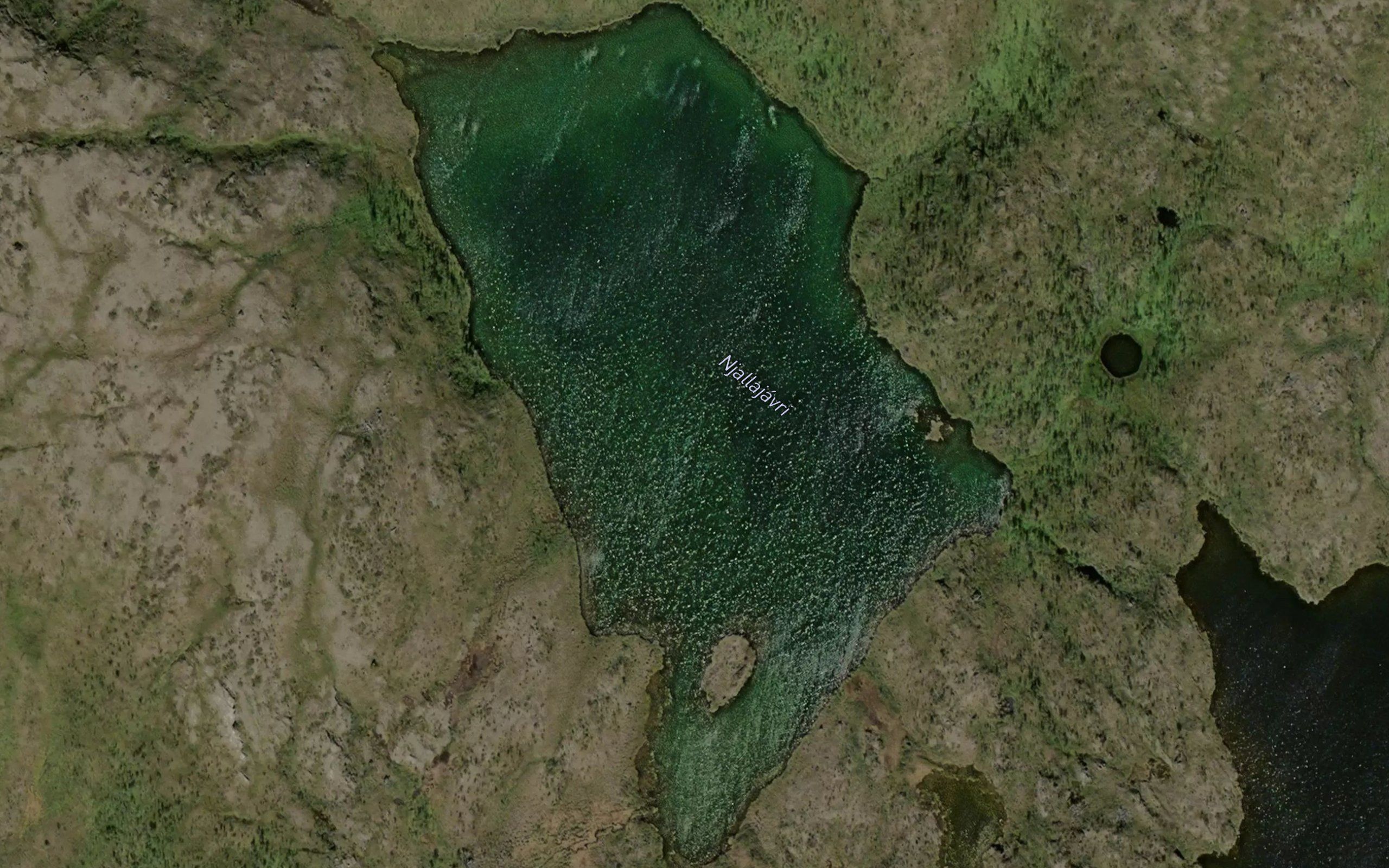 Njallajavri