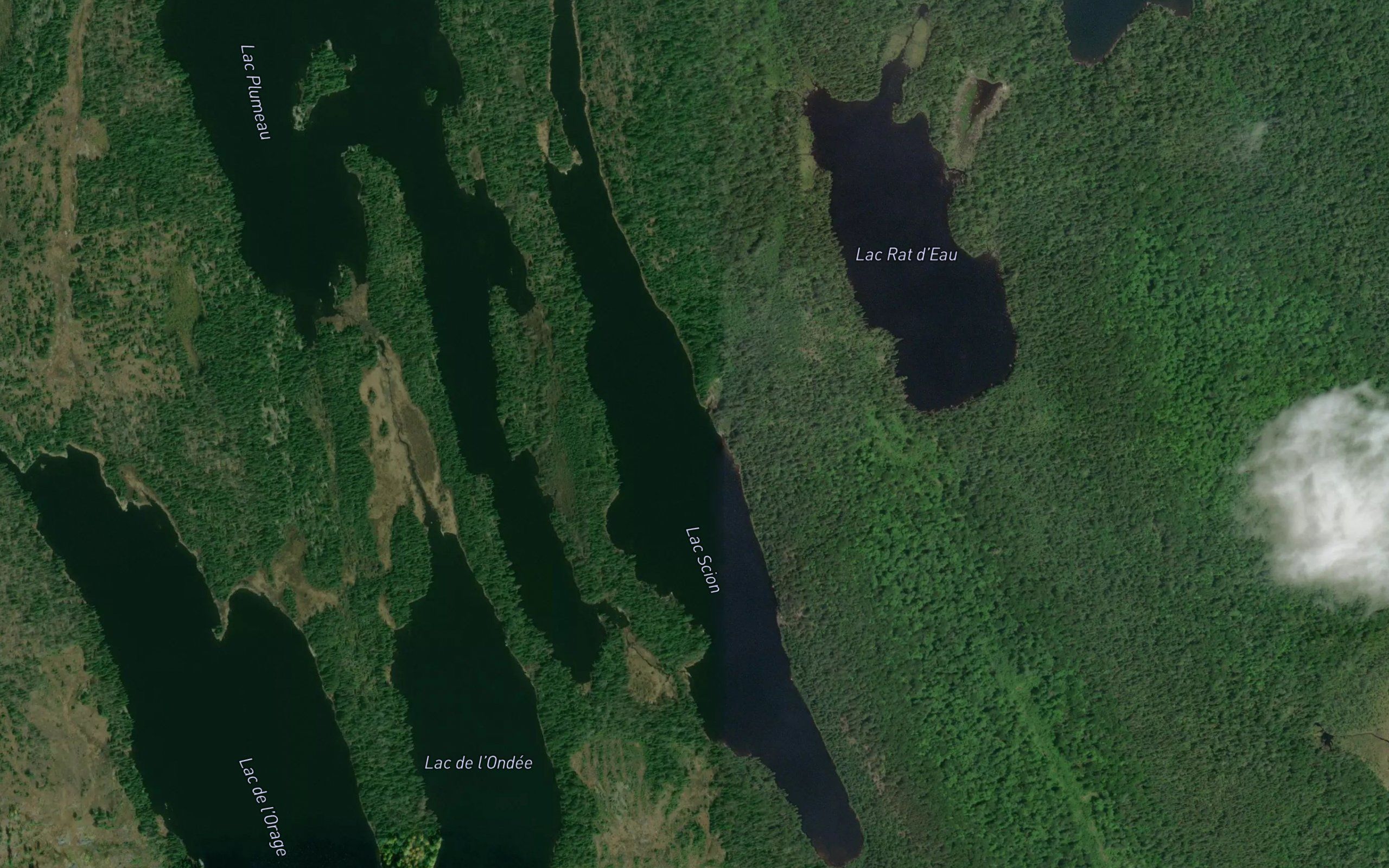 Lac Scion