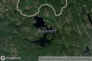 Buvatnet