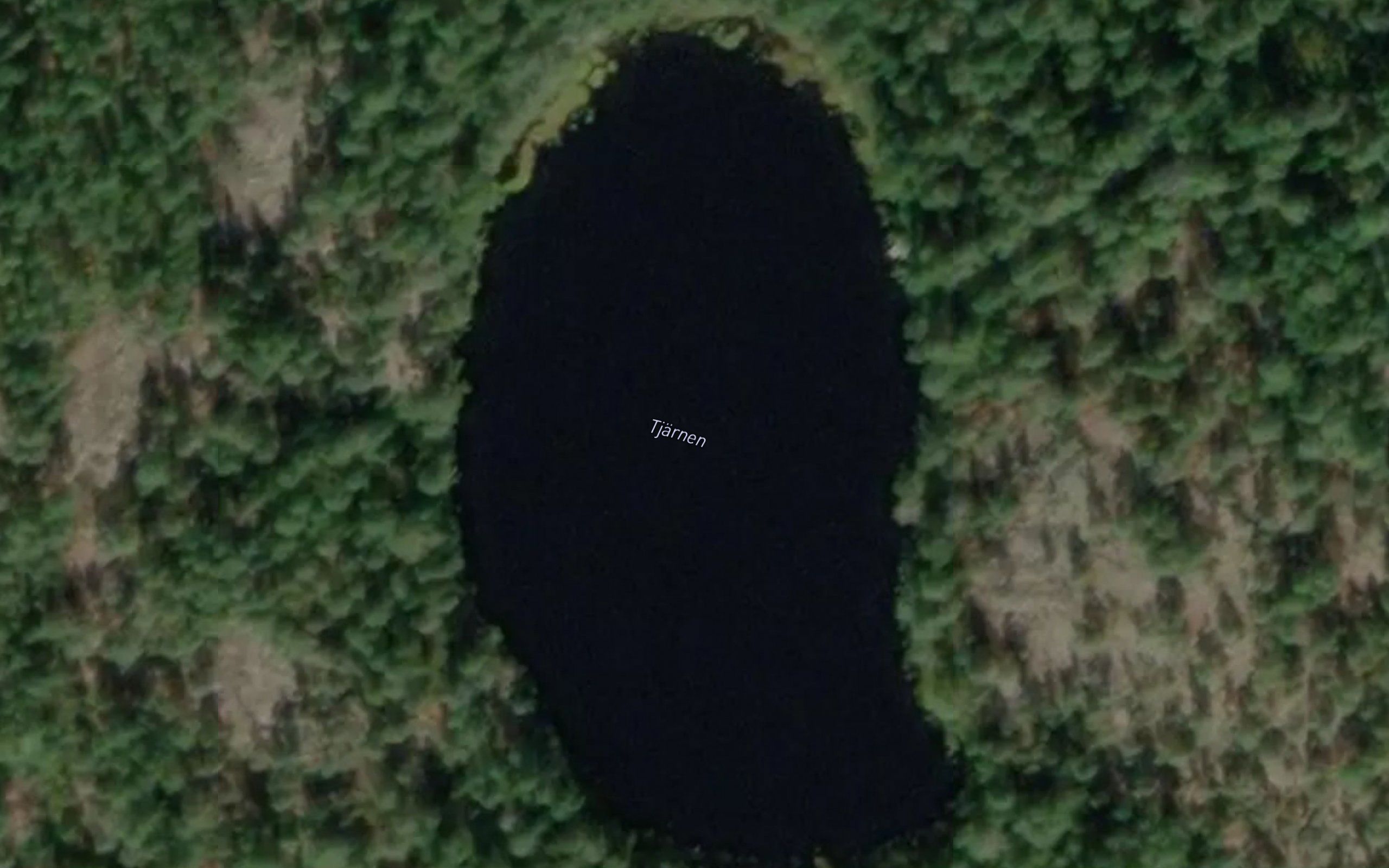 Tjarnen