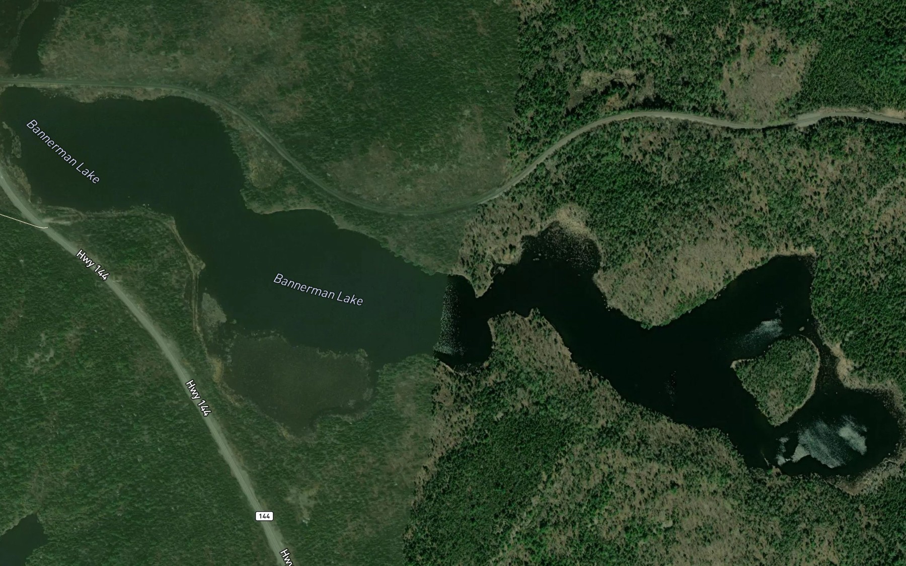 Satellite map of the Bannerman Lake
