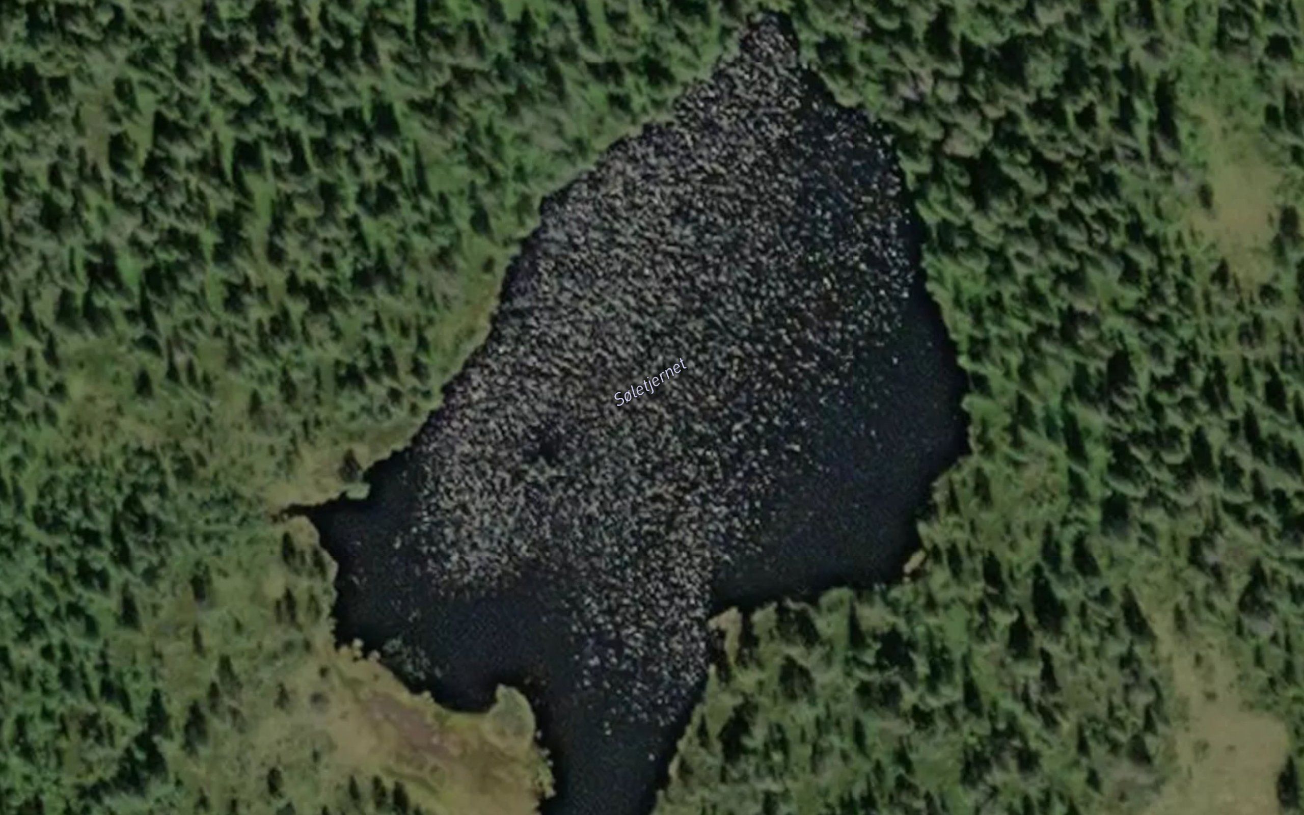 Soletjernet