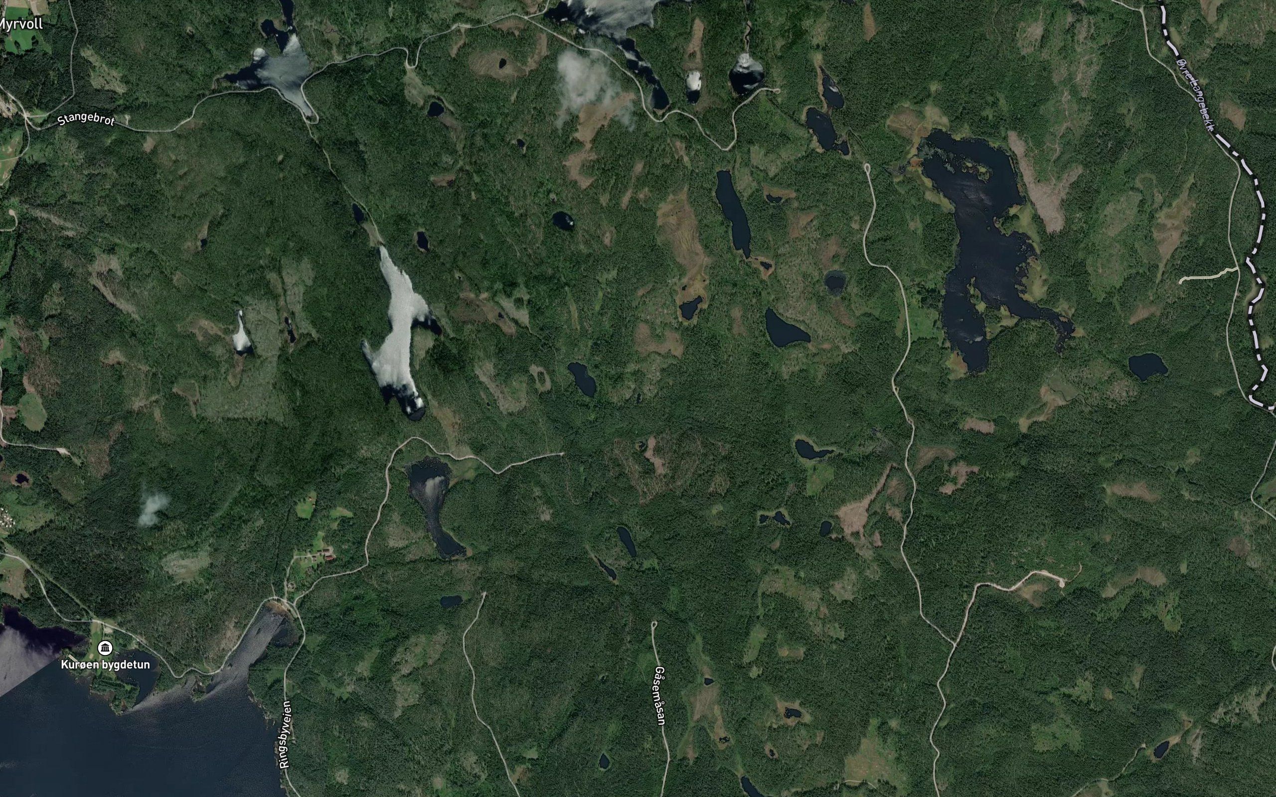 Gullskaltjenn