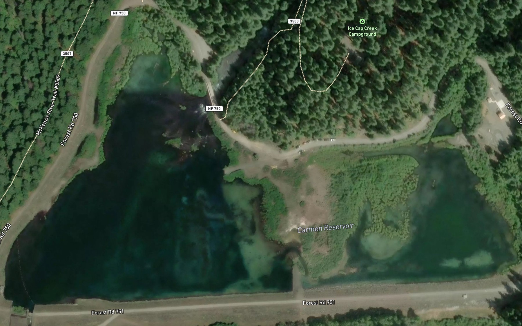 Satellite map of the Carmen Reservoir