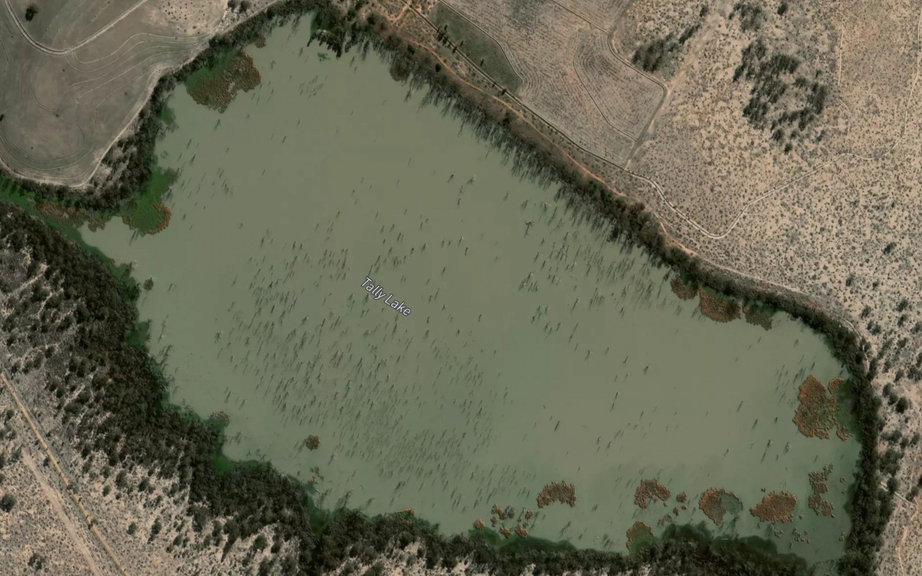 Satellite map of the Tallys Lake