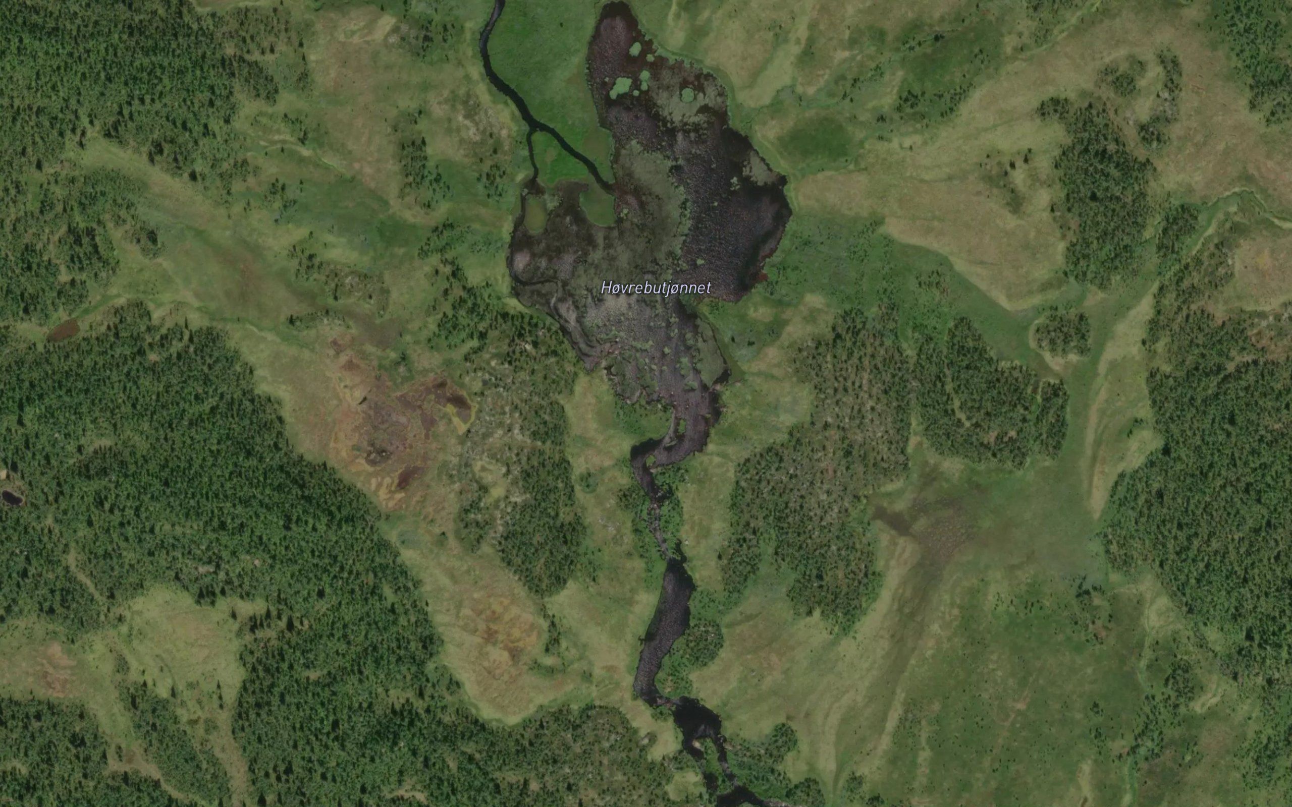 Hovrebutjornet