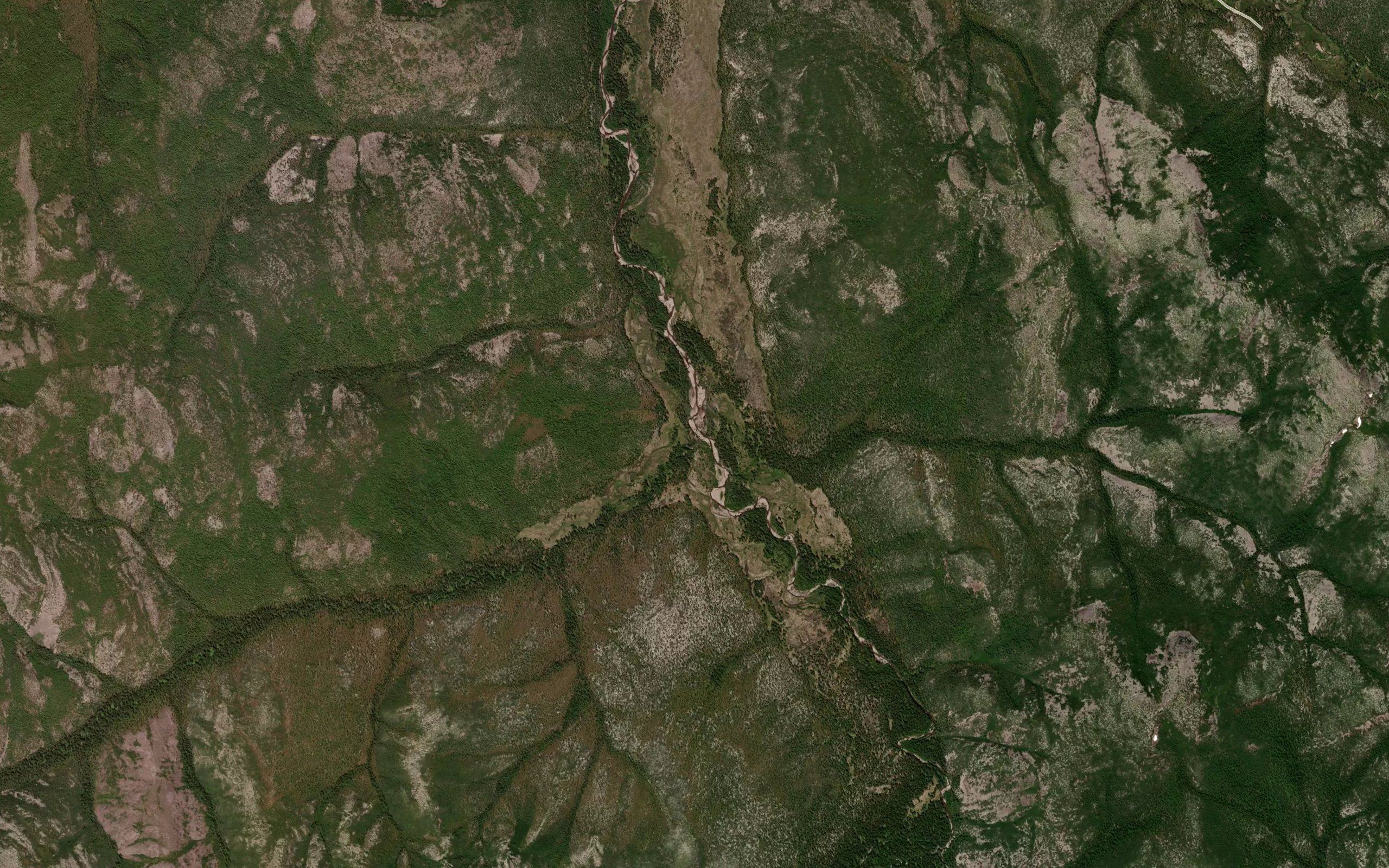 Zerkal'nyy