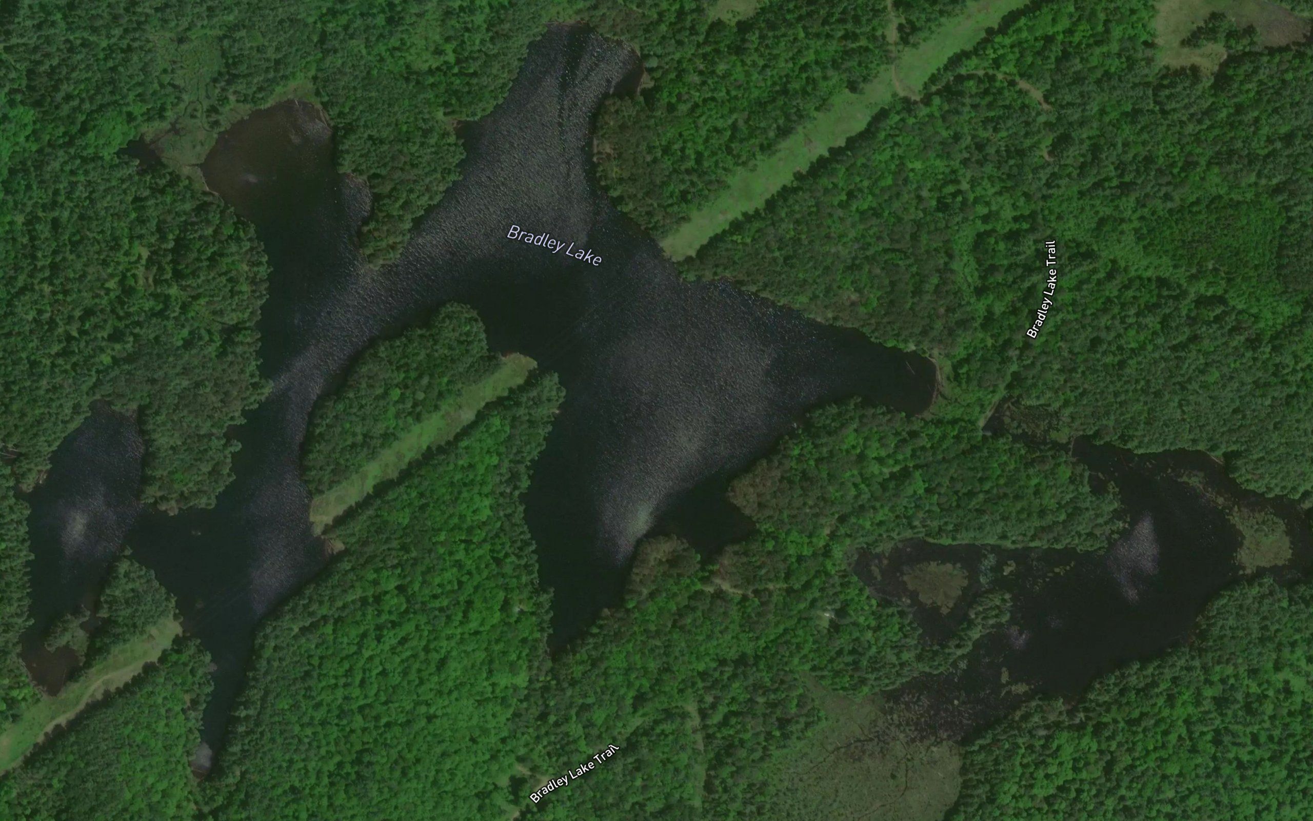 Bradley Lake