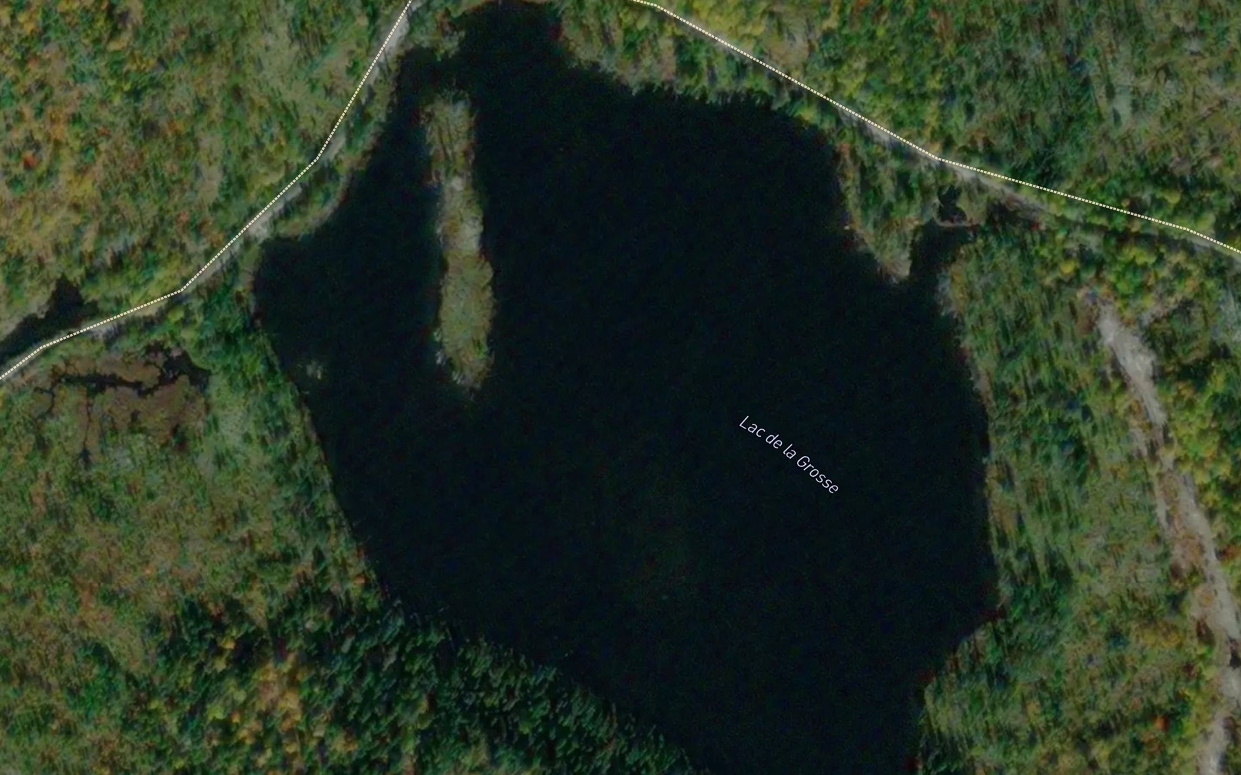 Satellite map of the Lac de la Grosse