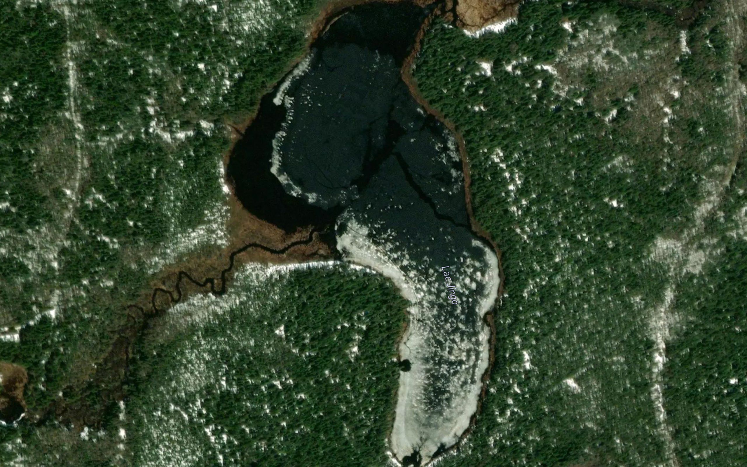 Lac Jingo