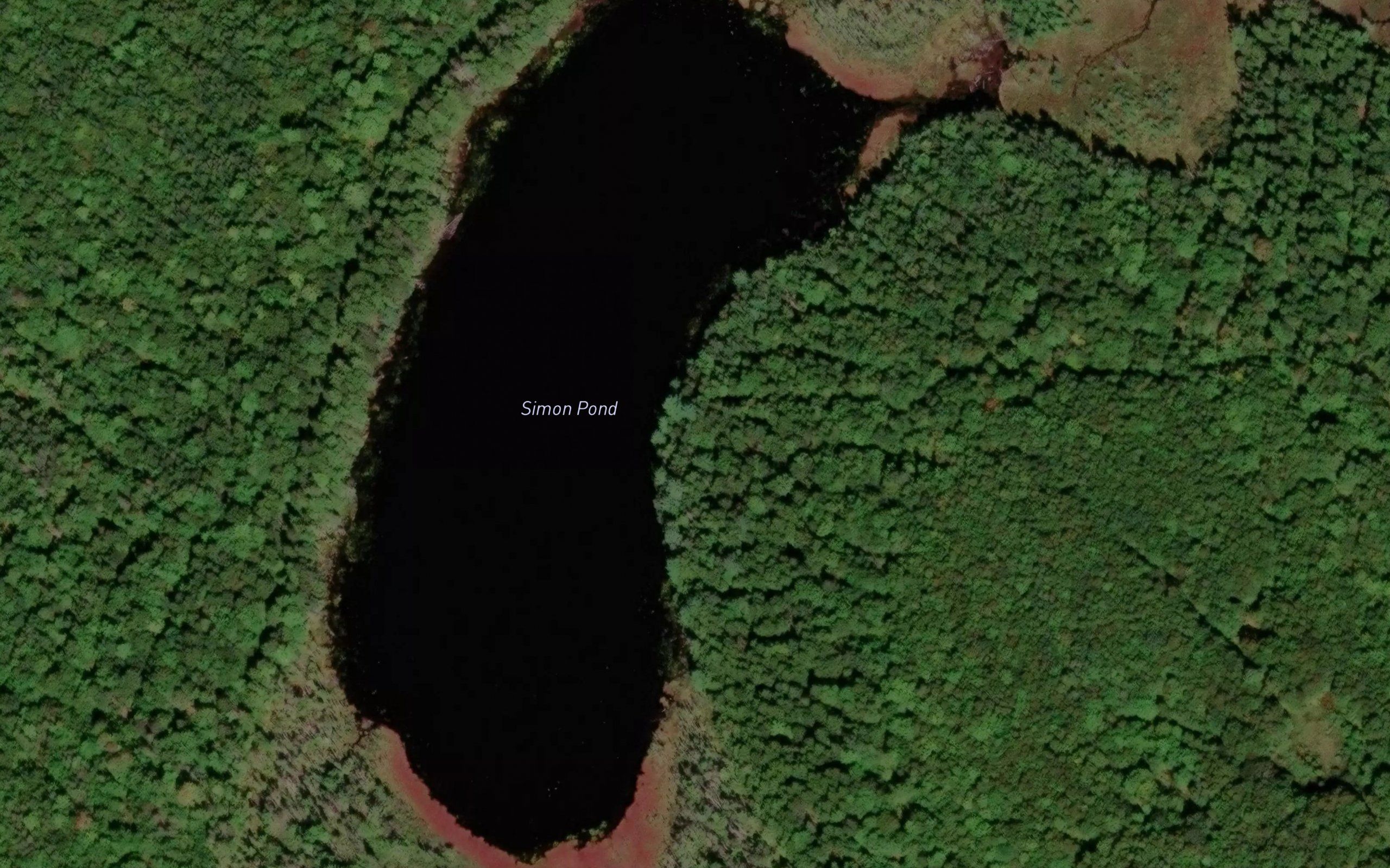 Simon Pond