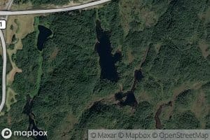 Bjorkasvatnet,ostre