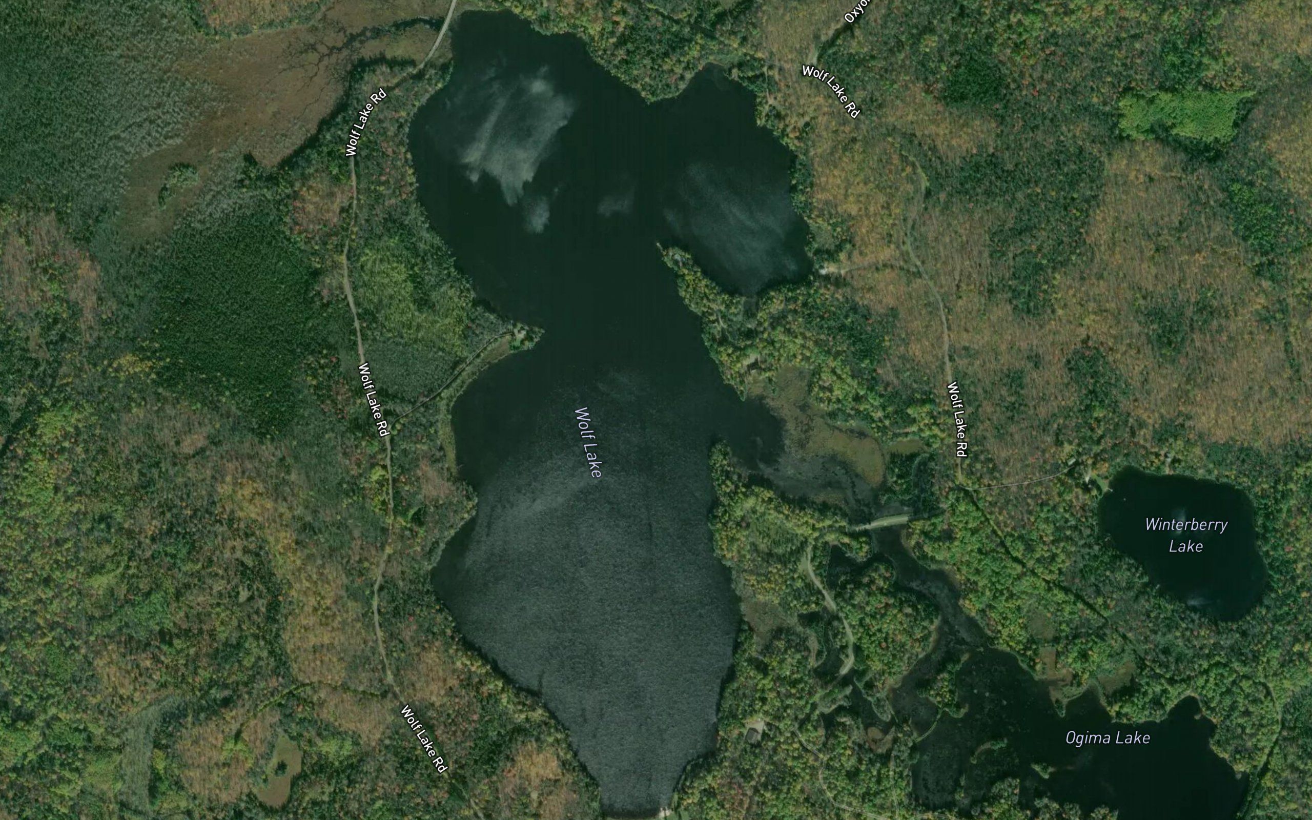 Wolf Lake