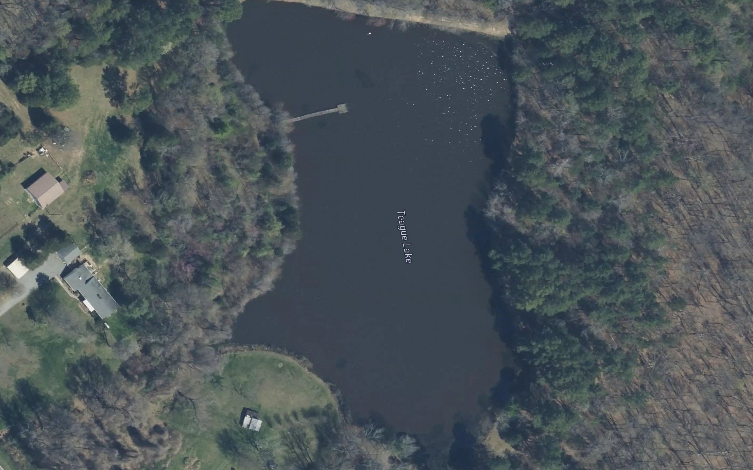 Teague Lake