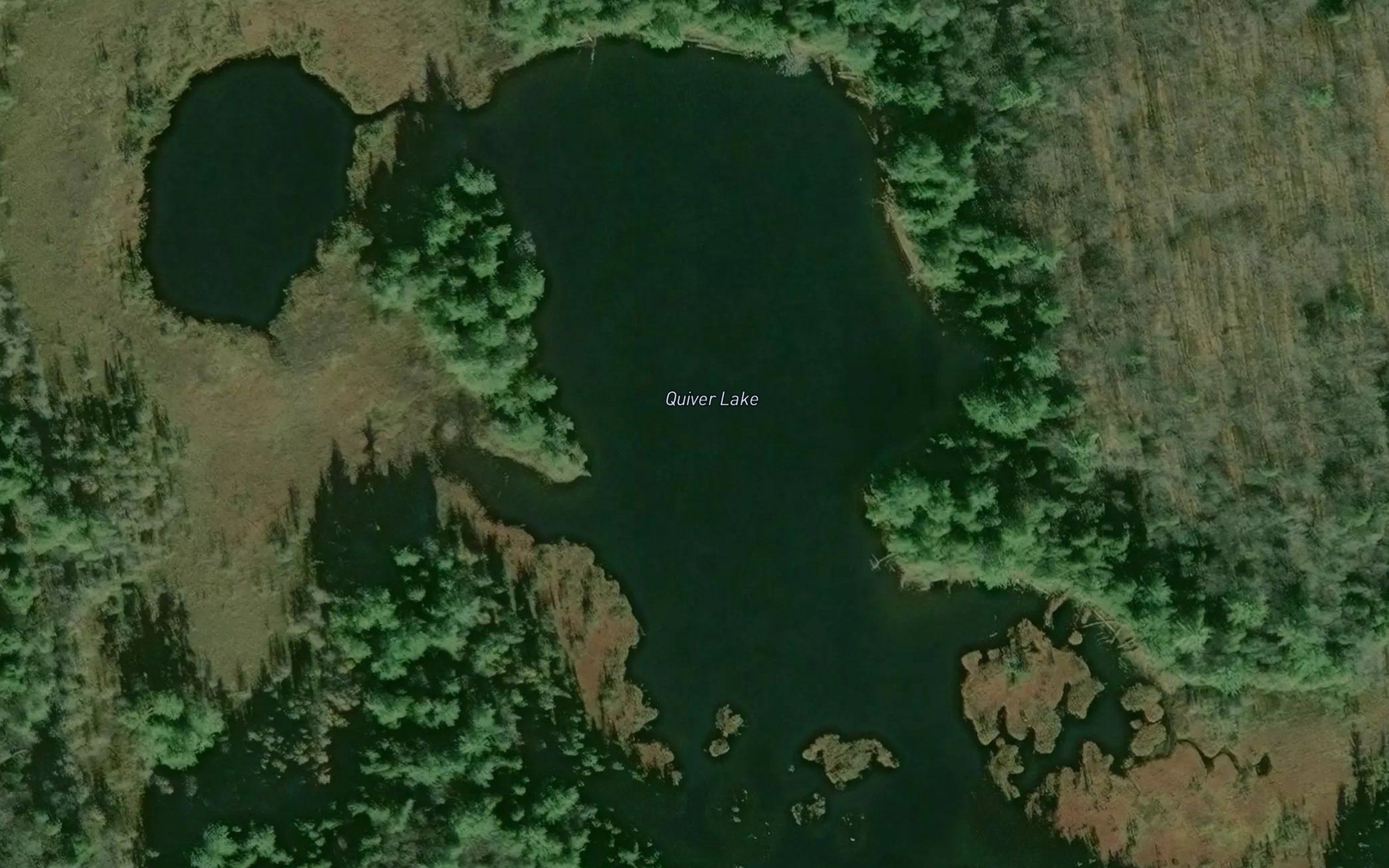 Quiver Lake