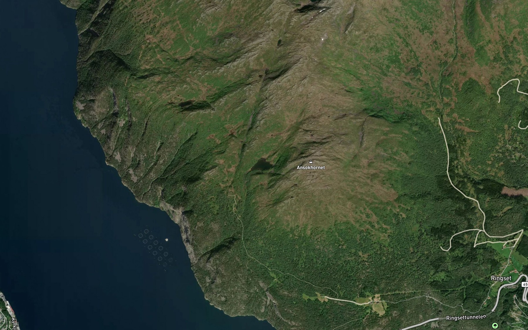 Satellite map of the Storvassdalsvatnet