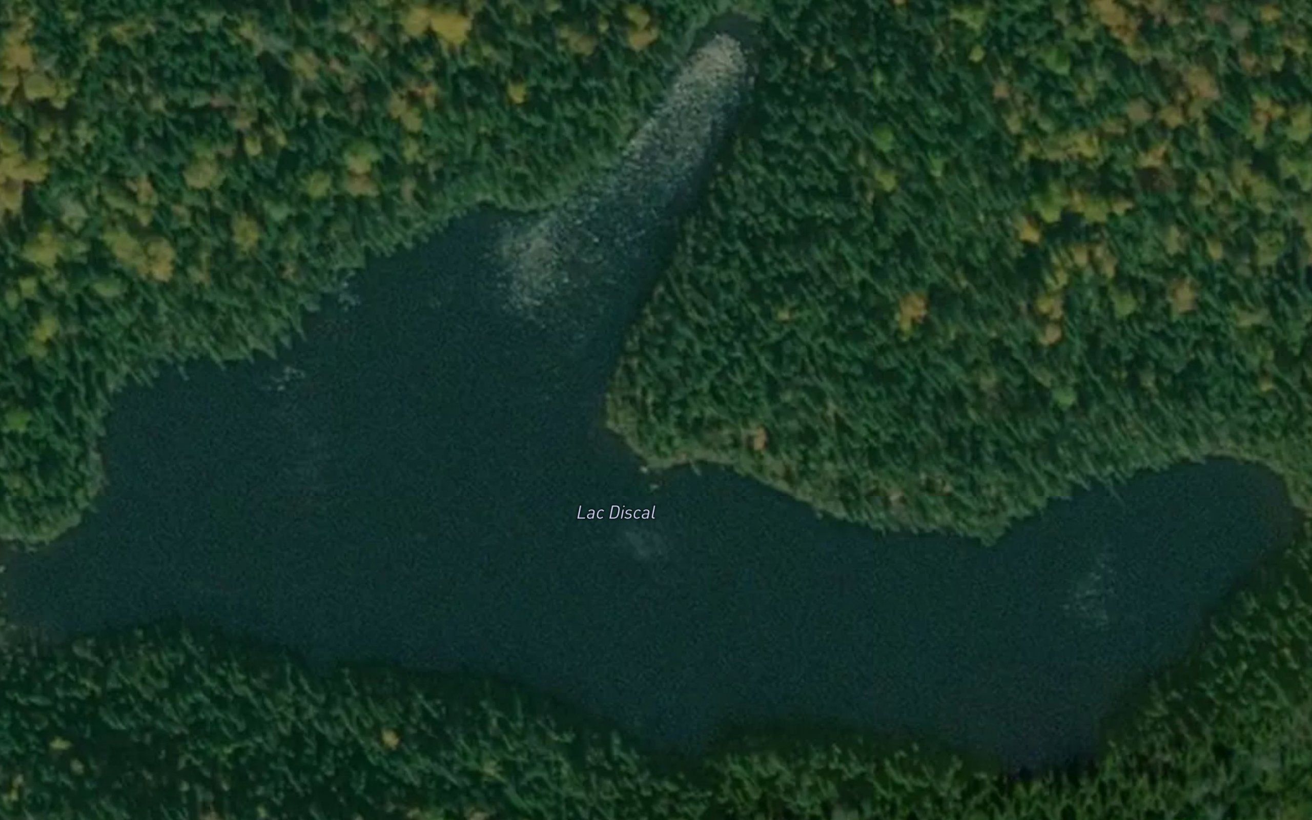 Lac Discal