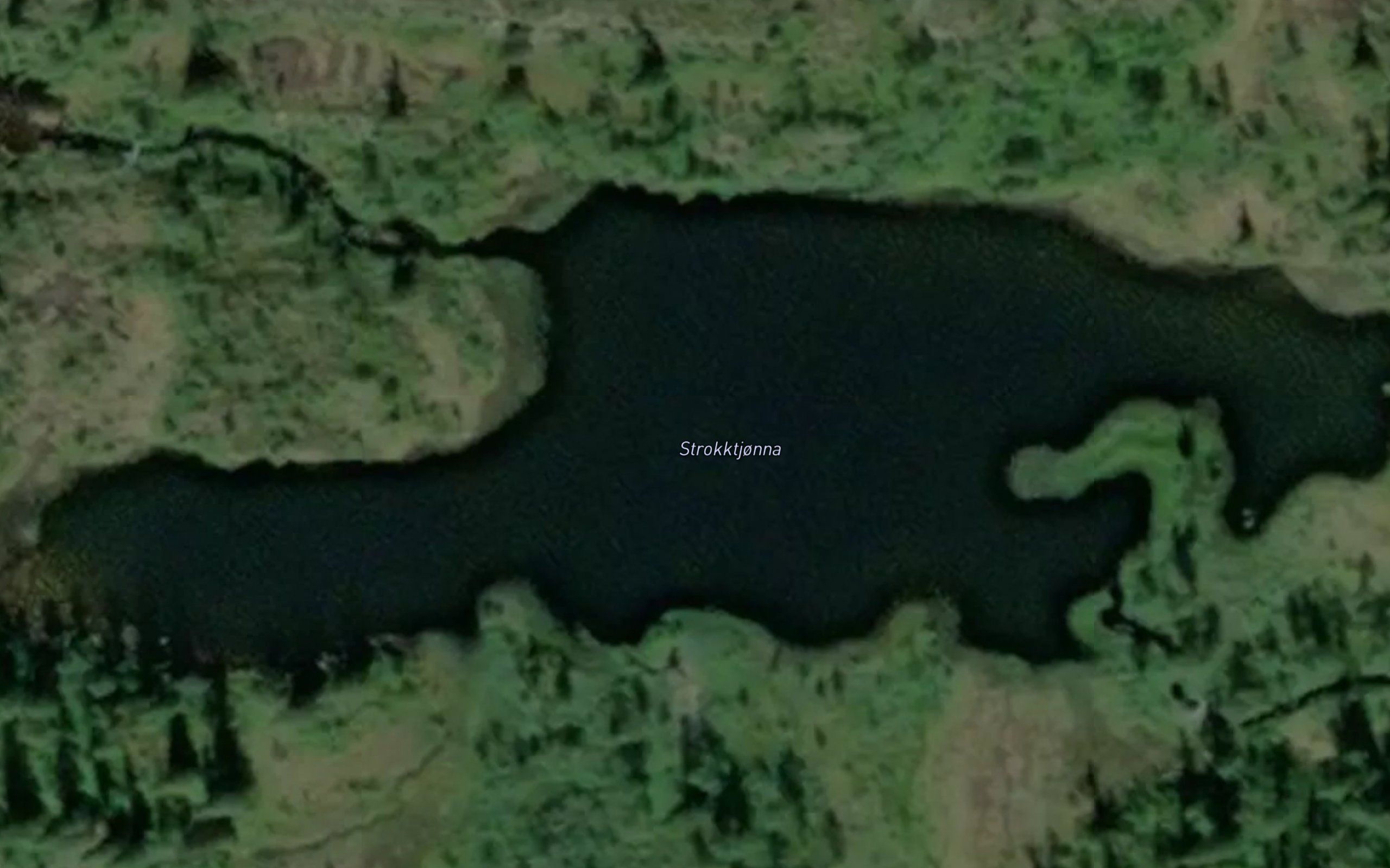 Stroktjorna
