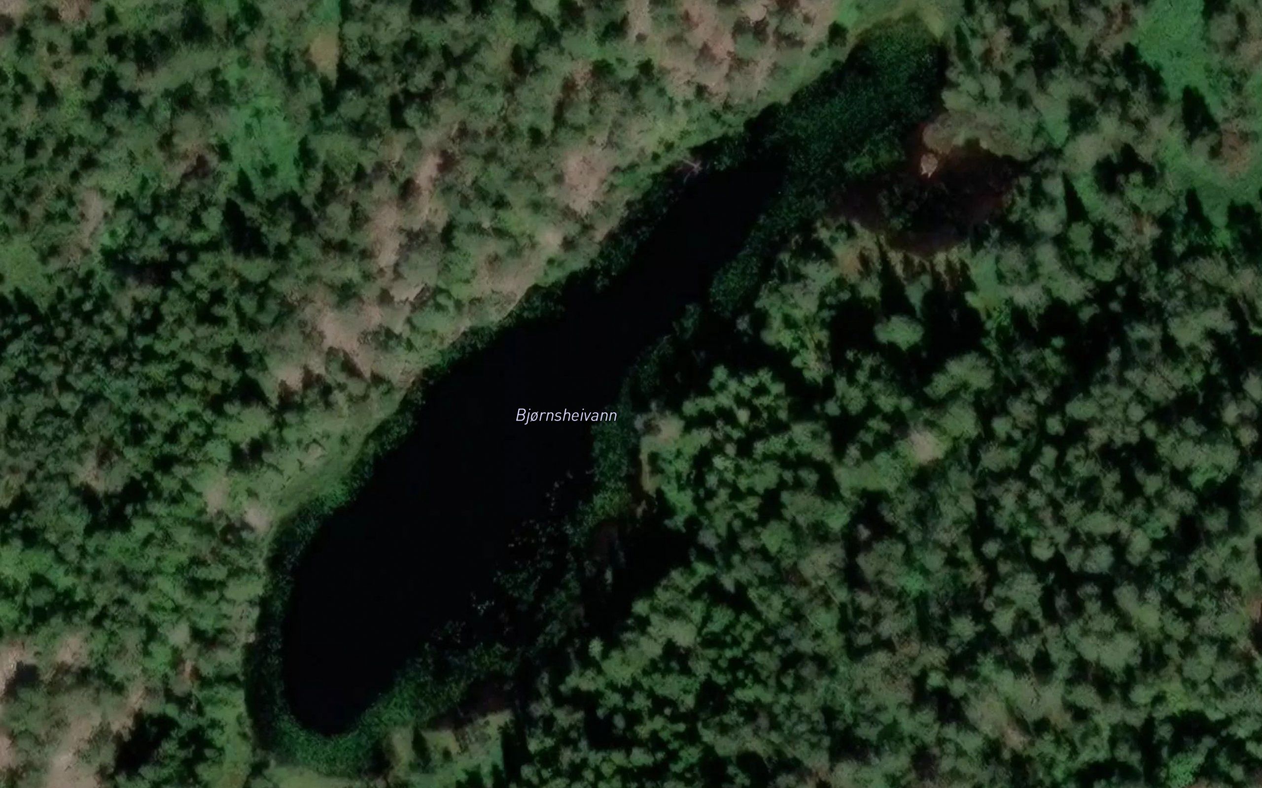 Bjornsheivann