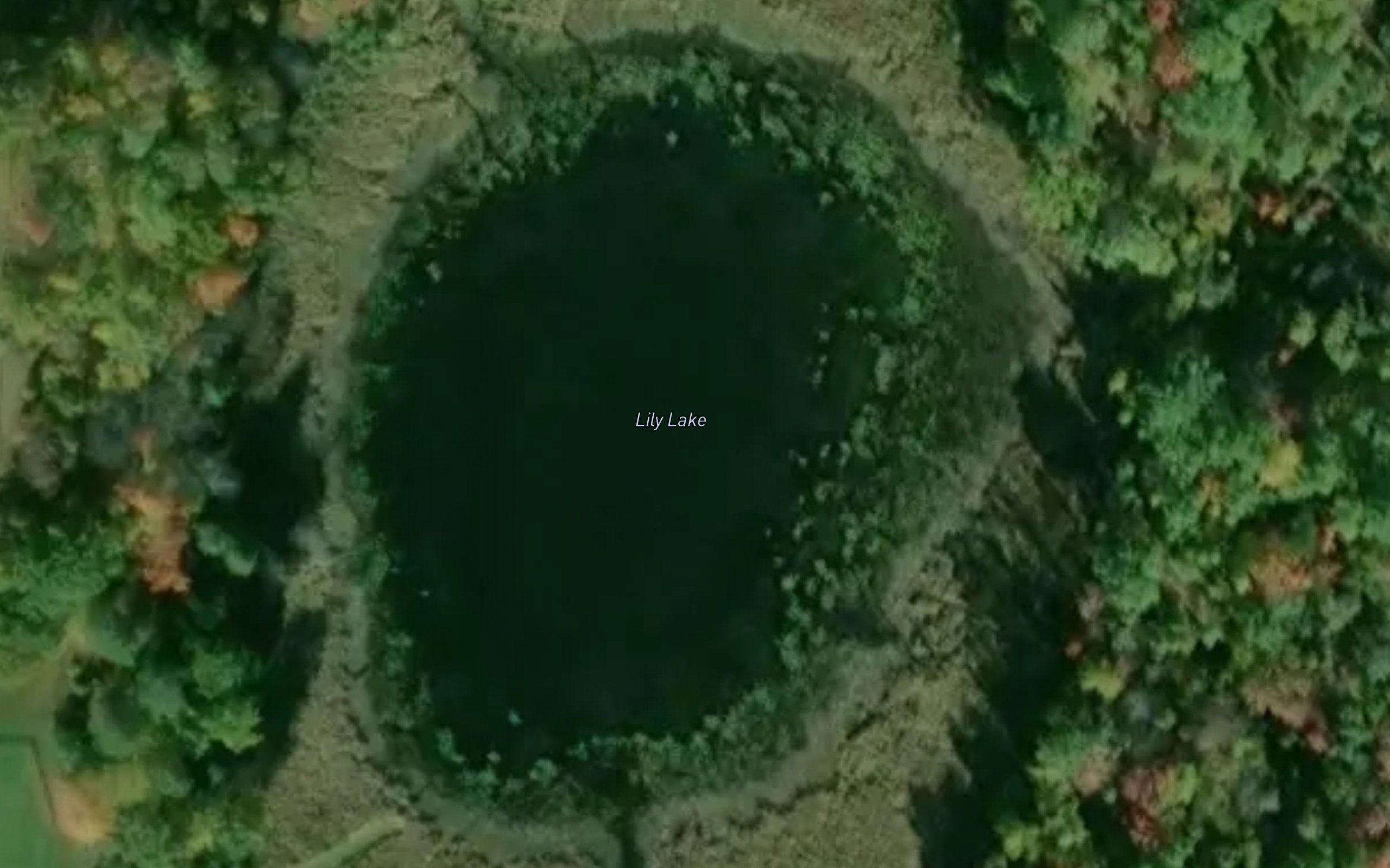 Lily Lake