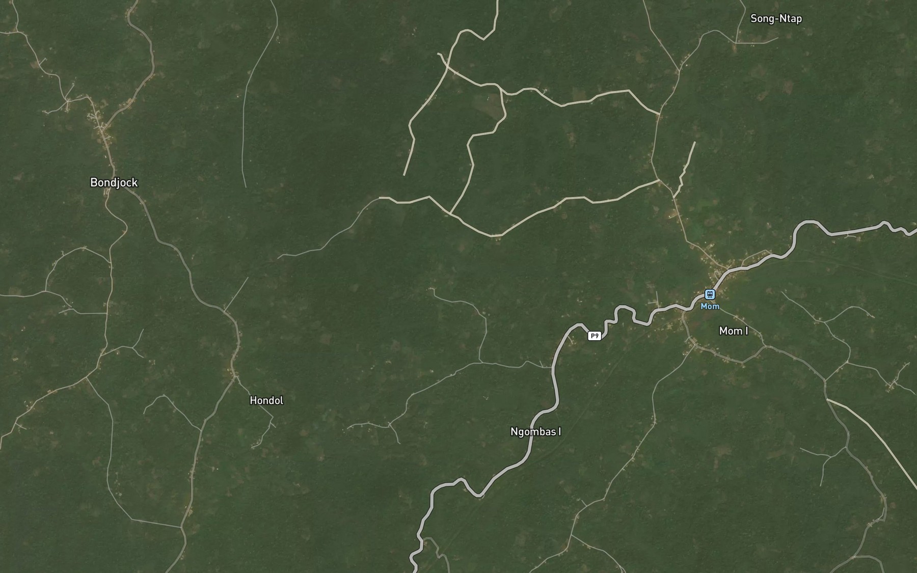 Satellite map of the Yamakouba