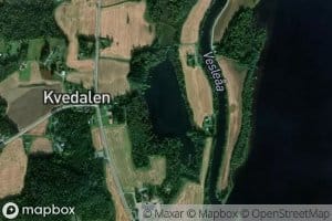 Vesletjernet