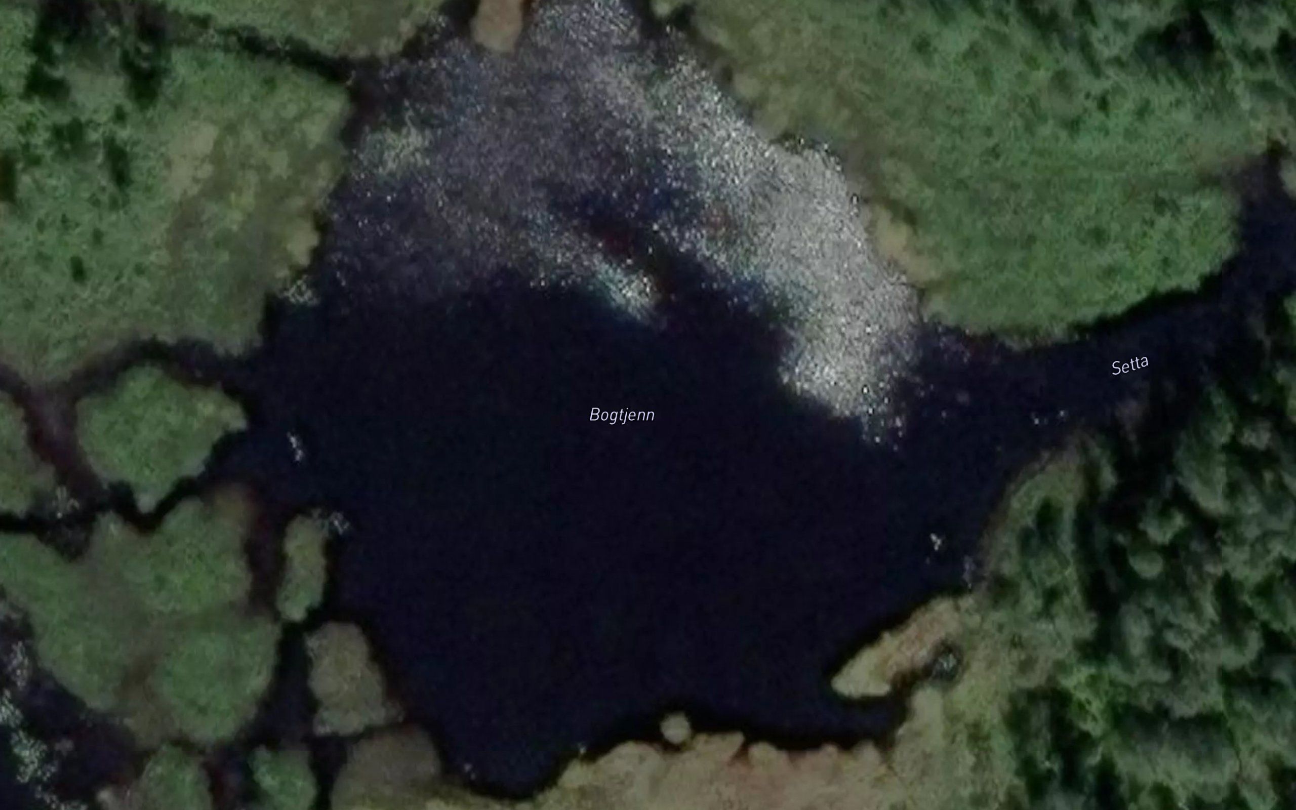 Bogtjern