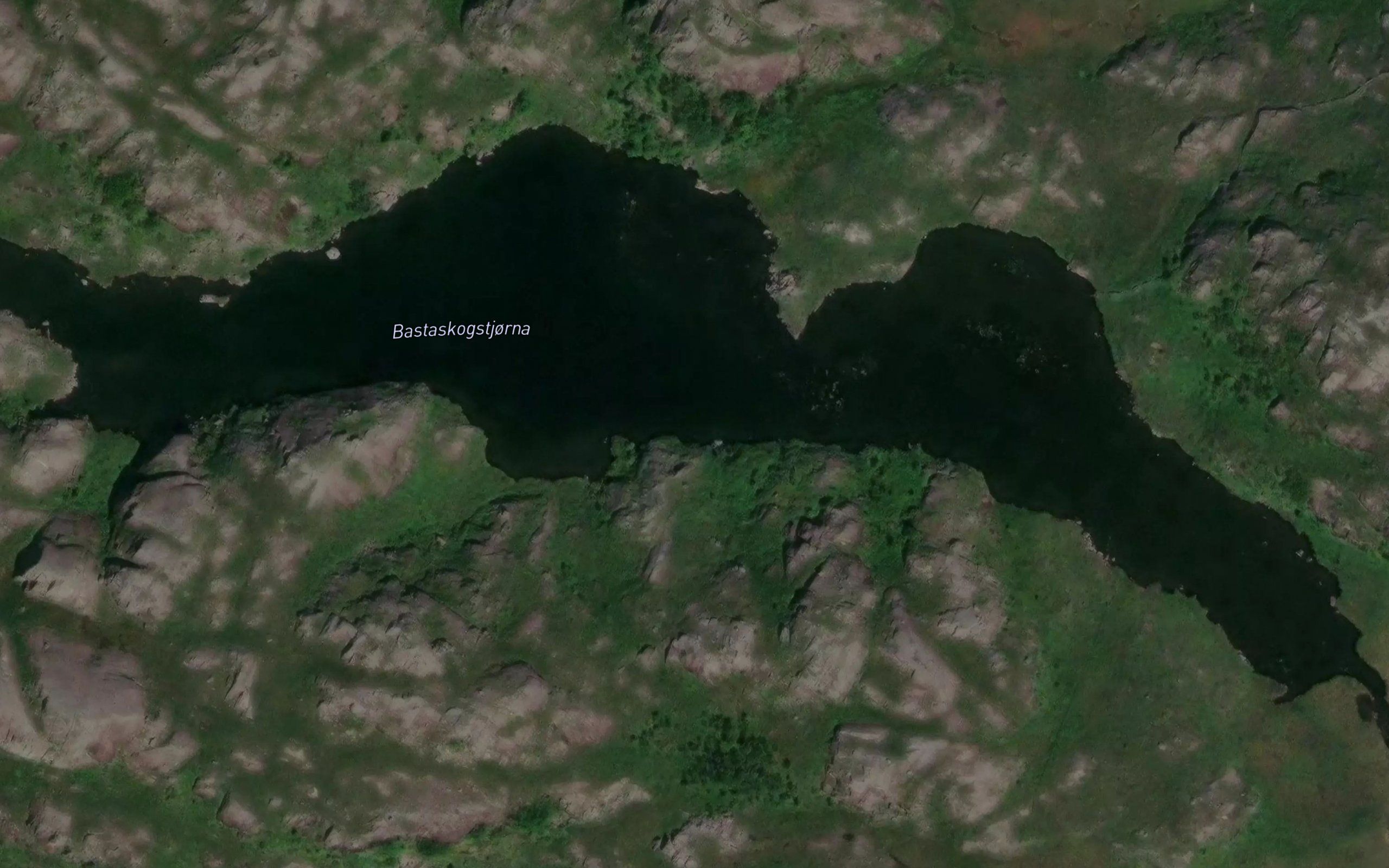 Bastaskogstjorna