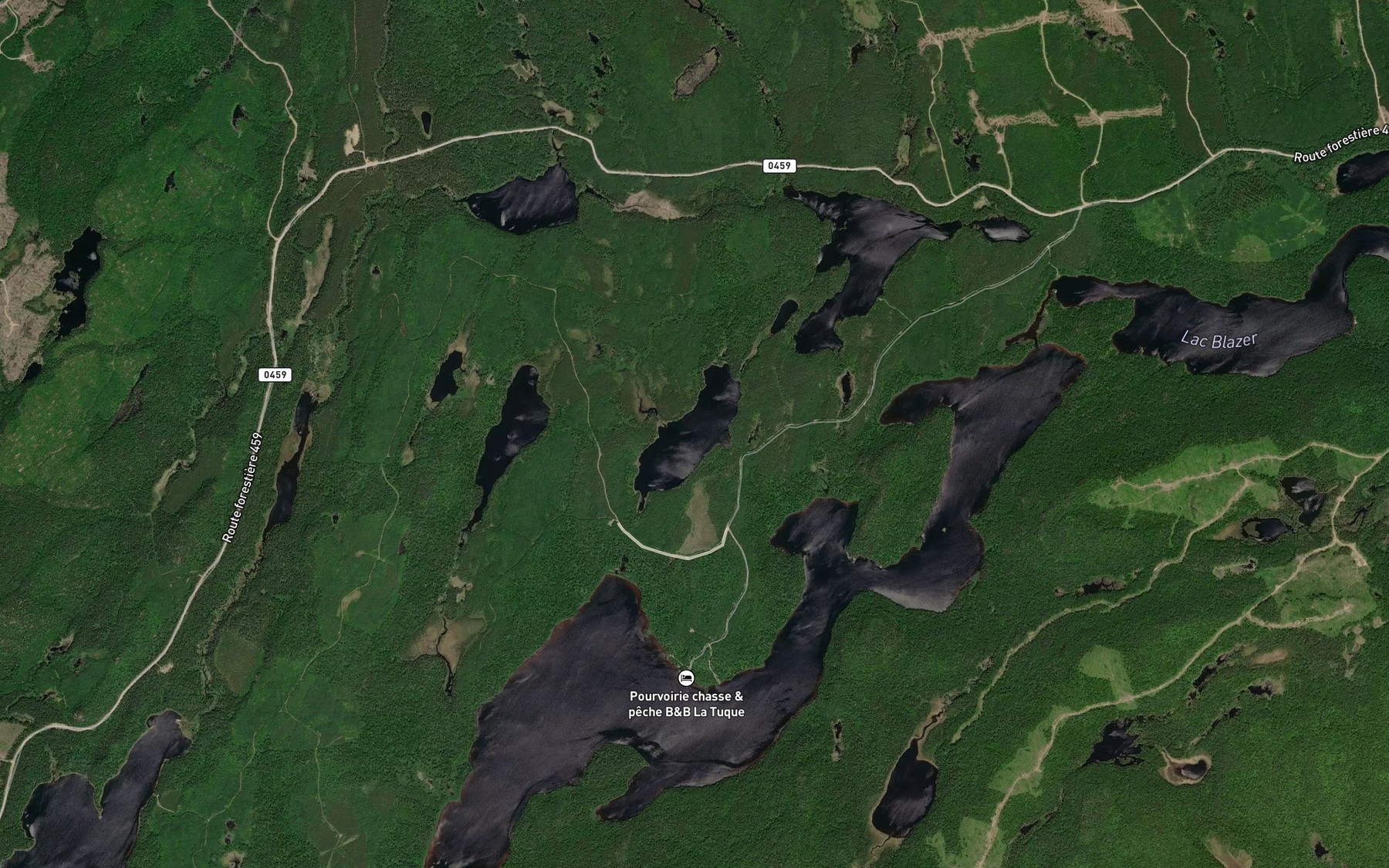 Satellite map of the Lac Johanne